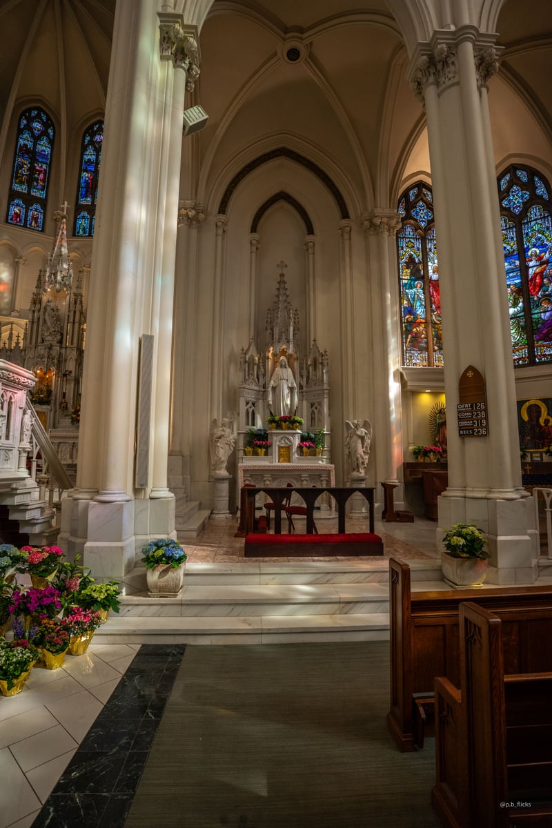 Cathedral Basilica of the Immaculate Conception