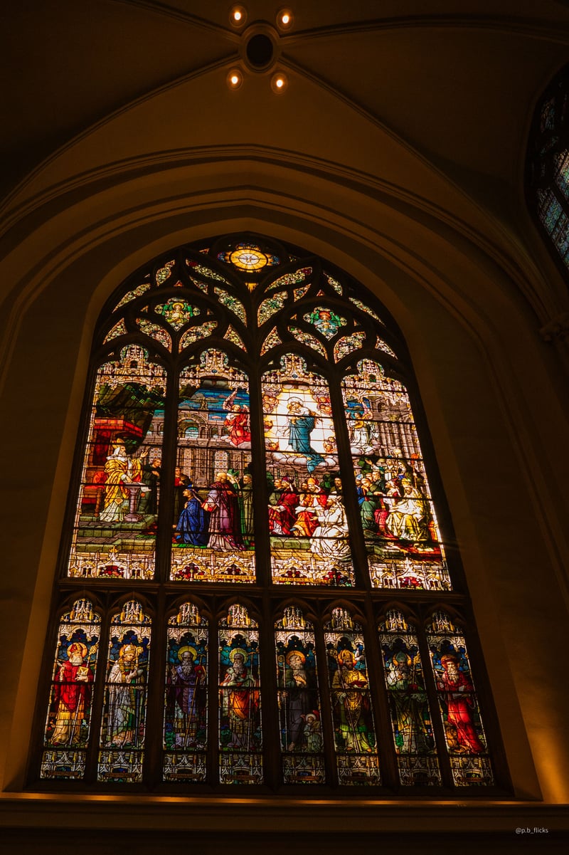 Cathedral Basilica of the Immaculate Conception