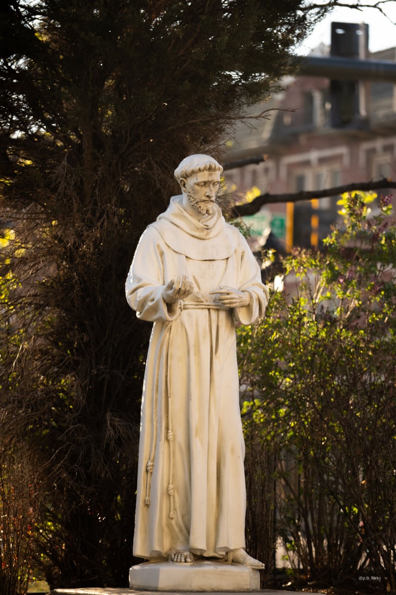 Cathedral Basilica of the Immaculate Conception Grounds