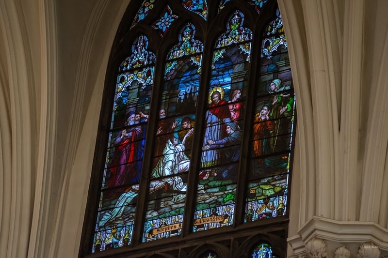 Cathedral Basilica of the Immaculate Conception