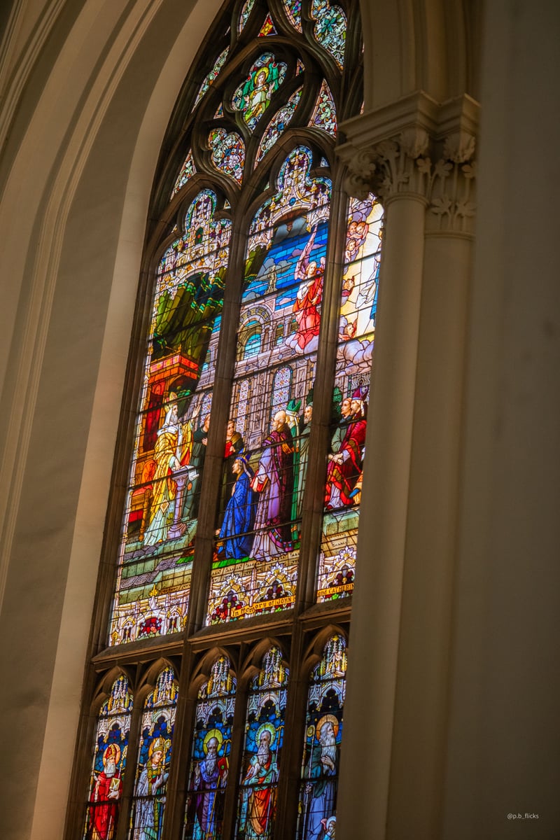 Cathedral Basilica of the Immaculate Conception