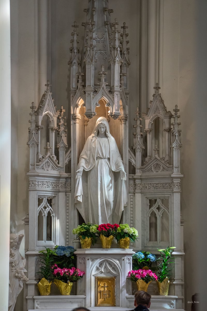 Cathedral Basilica of the Immaculate Conception