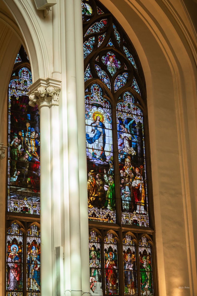 Cathedral Basilica of the Immaculate Conception