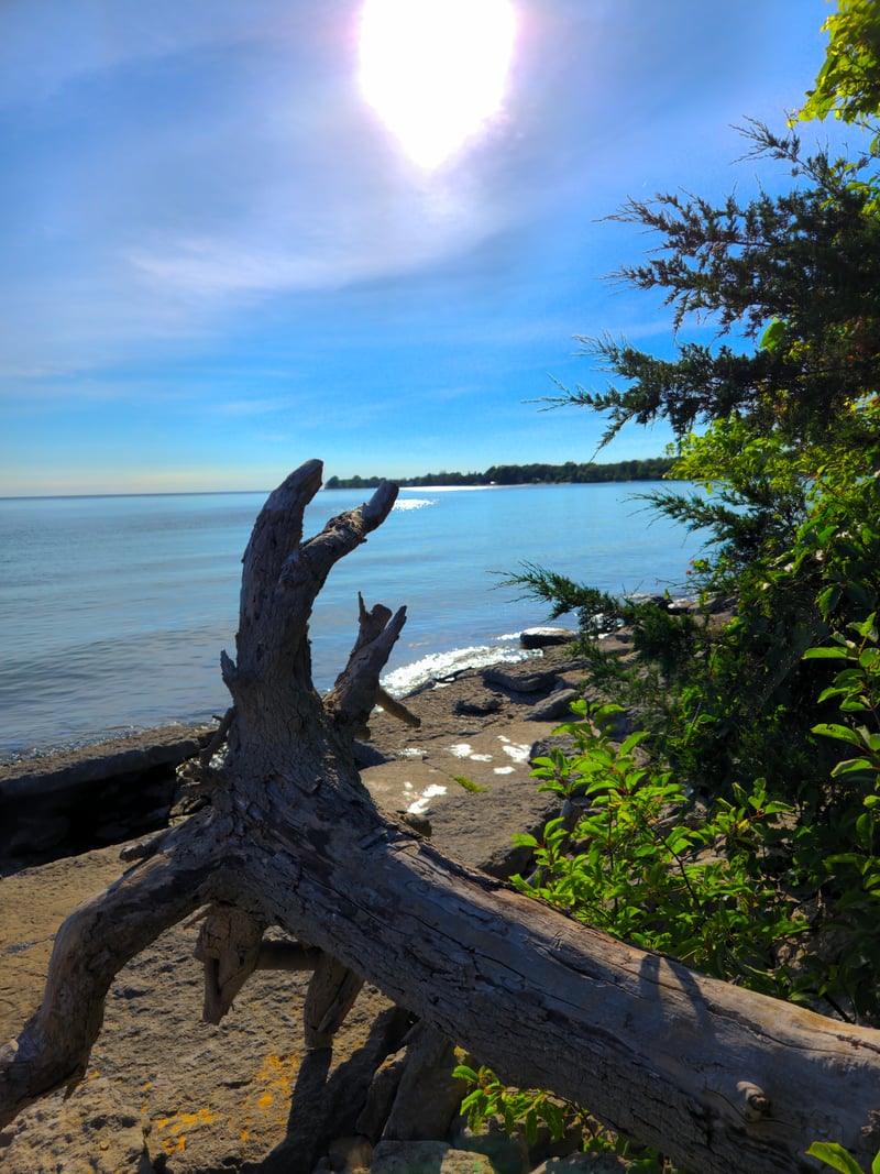 Rays Bay Shoreline