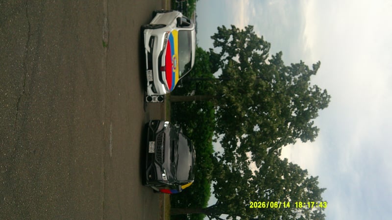 Northern Boulevard Automotive Scene