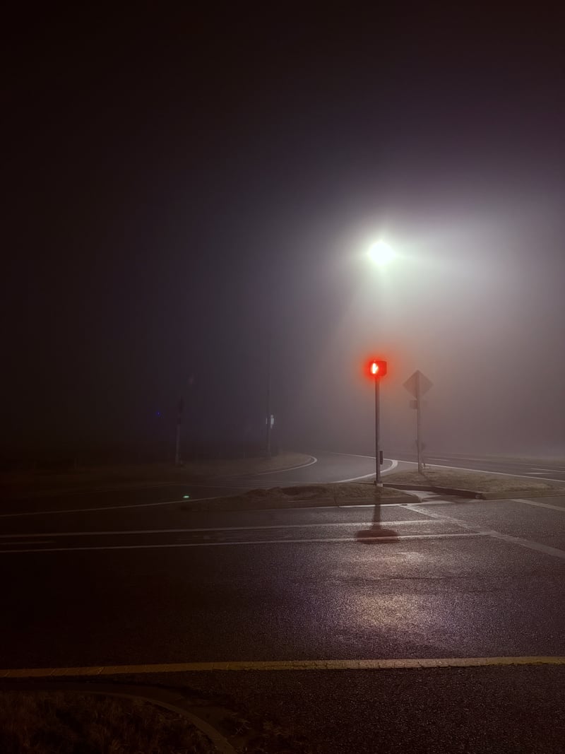 Wilson Point Road Foggy Crossing