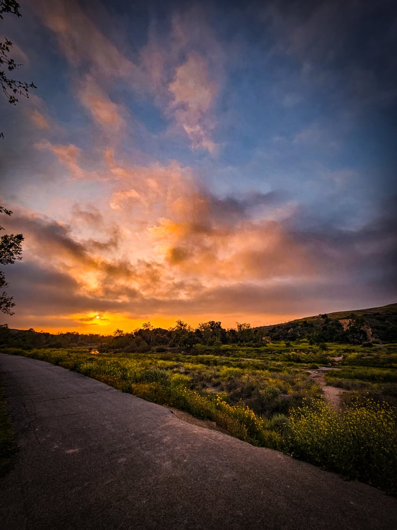 Irvine Regional Park