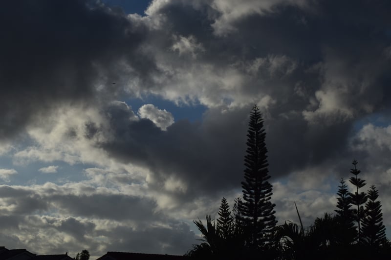 Coral Way Suburban Sky