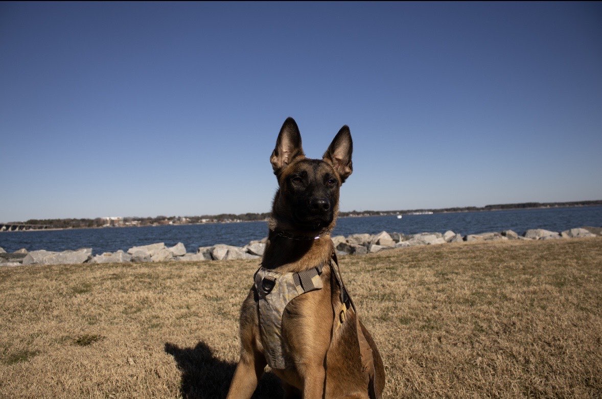 1000 Colonial Parkway