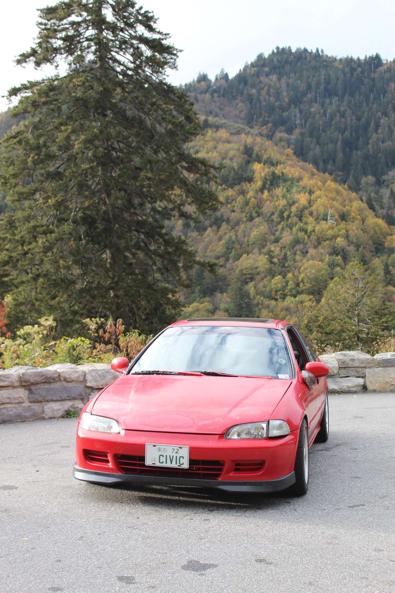 4342 Newfound Gap Road North