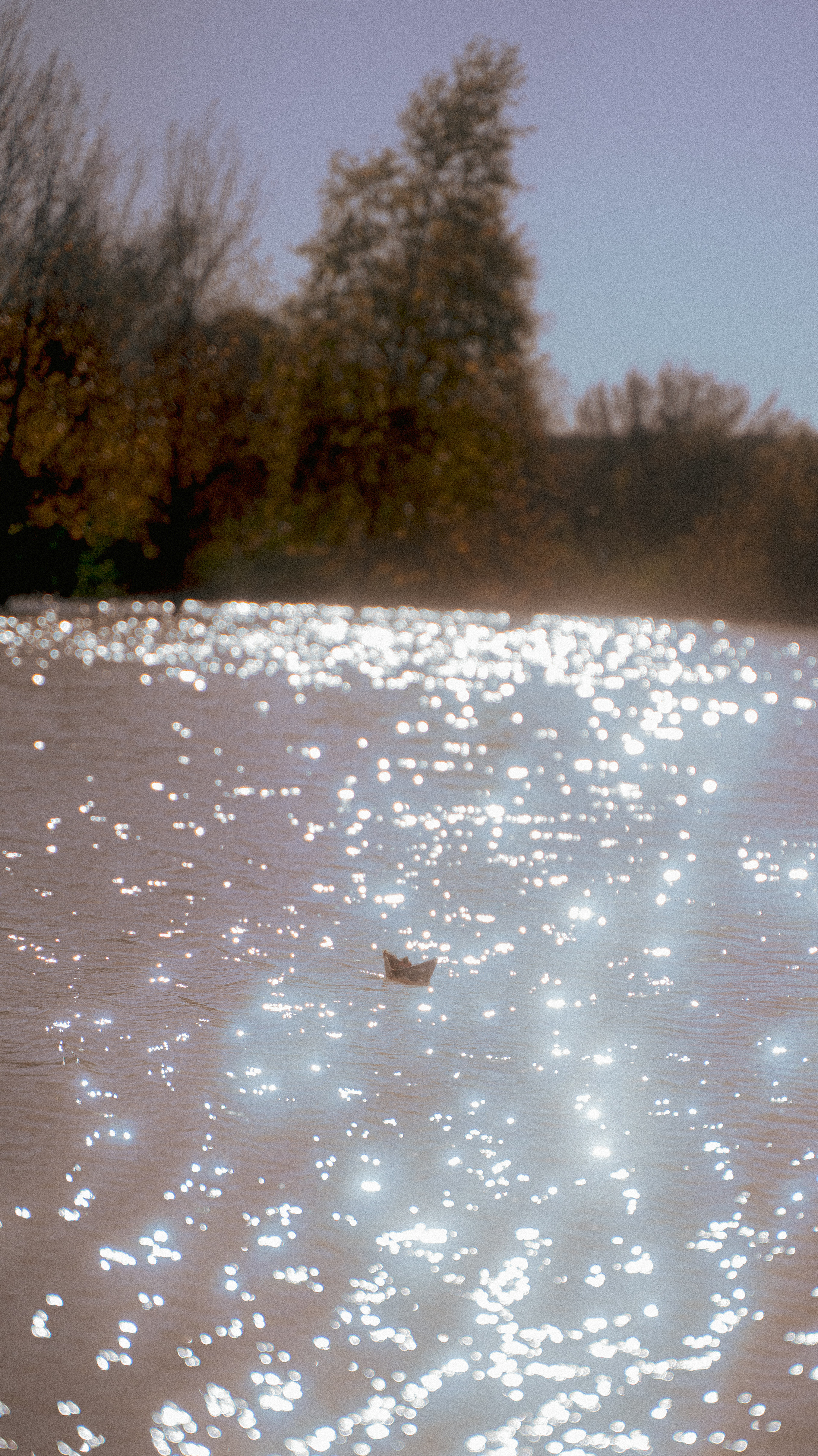 10965 N Dronfield Ave