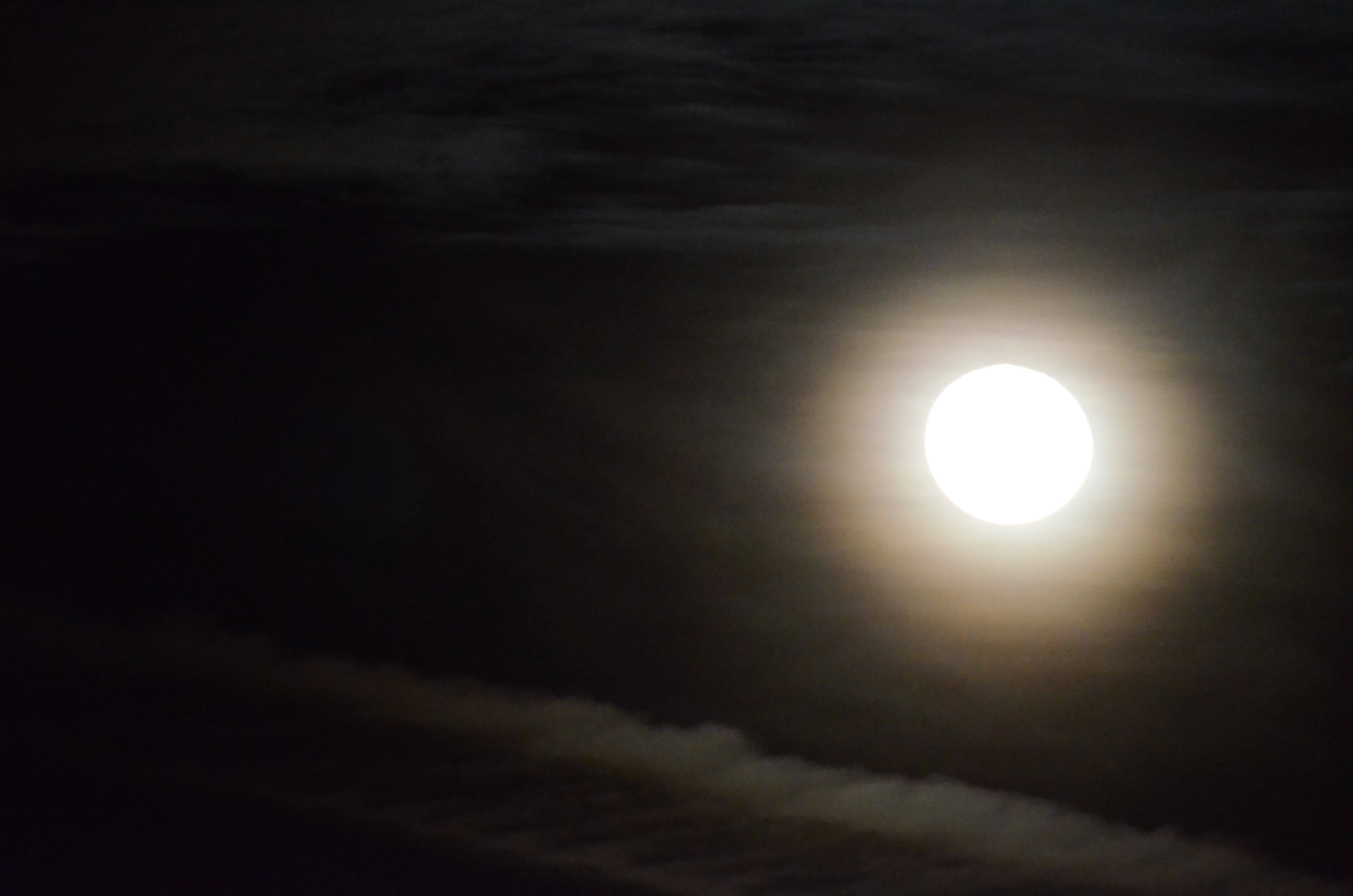 16173 North 163rd Drive