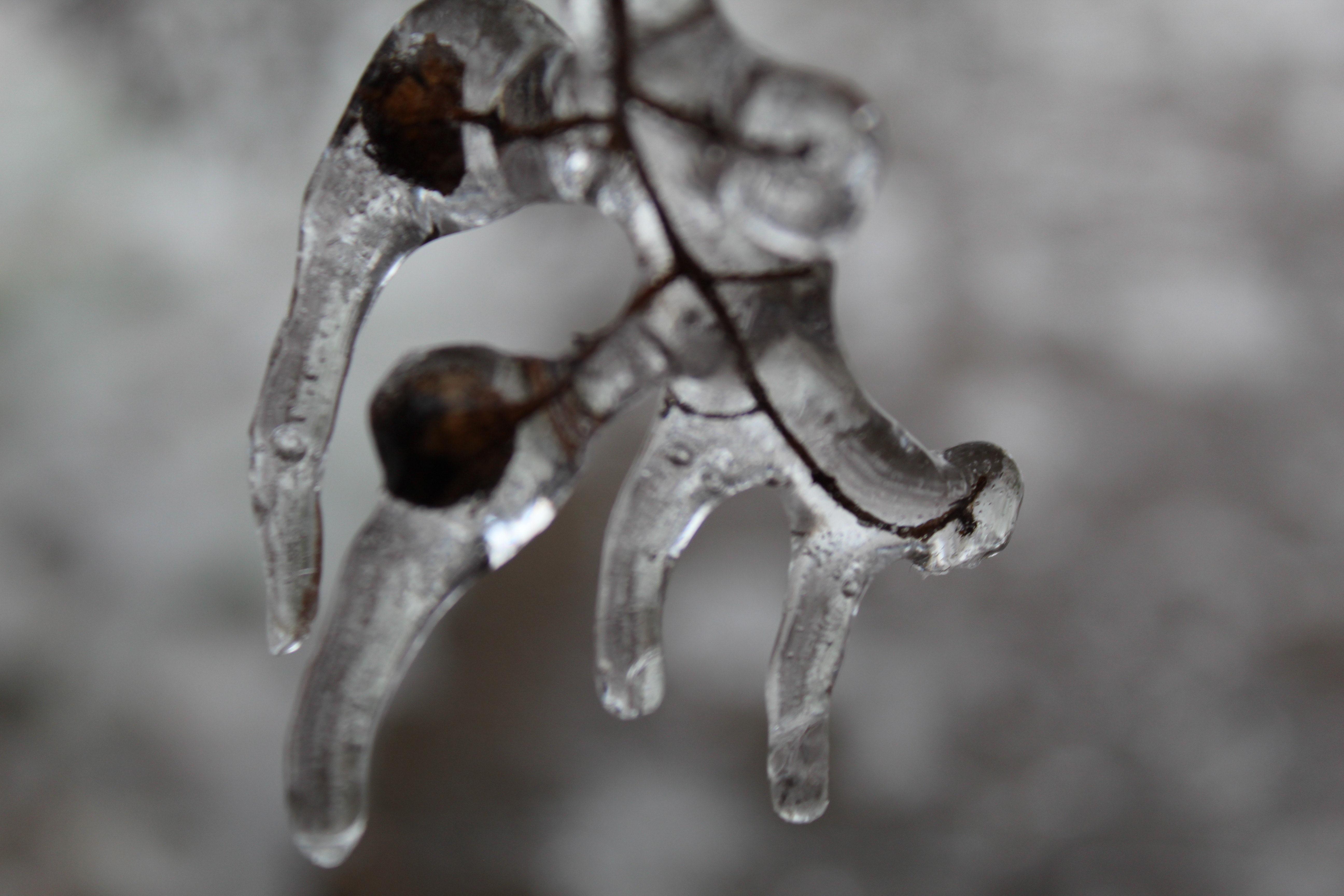 315 South 4th Street