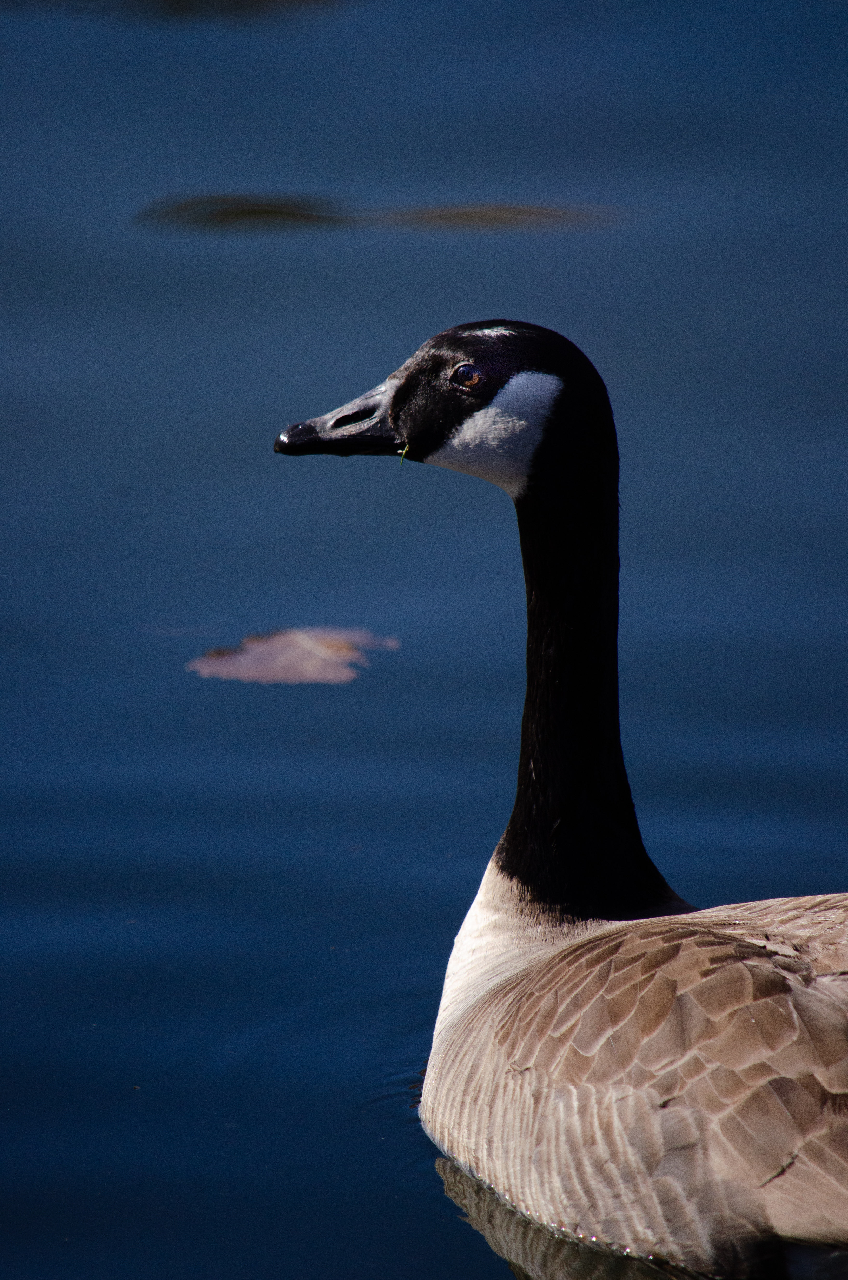 550 10th Street Southwest