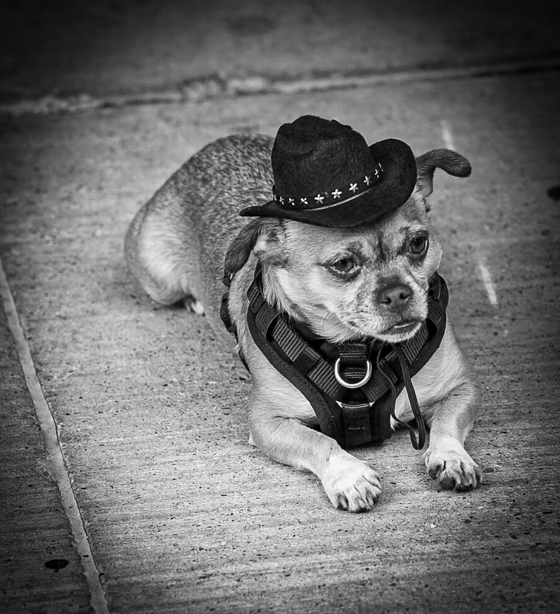 1100 Closed S Pearl Ramp