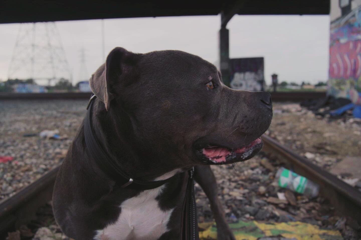 8003 Masoncrest Drive