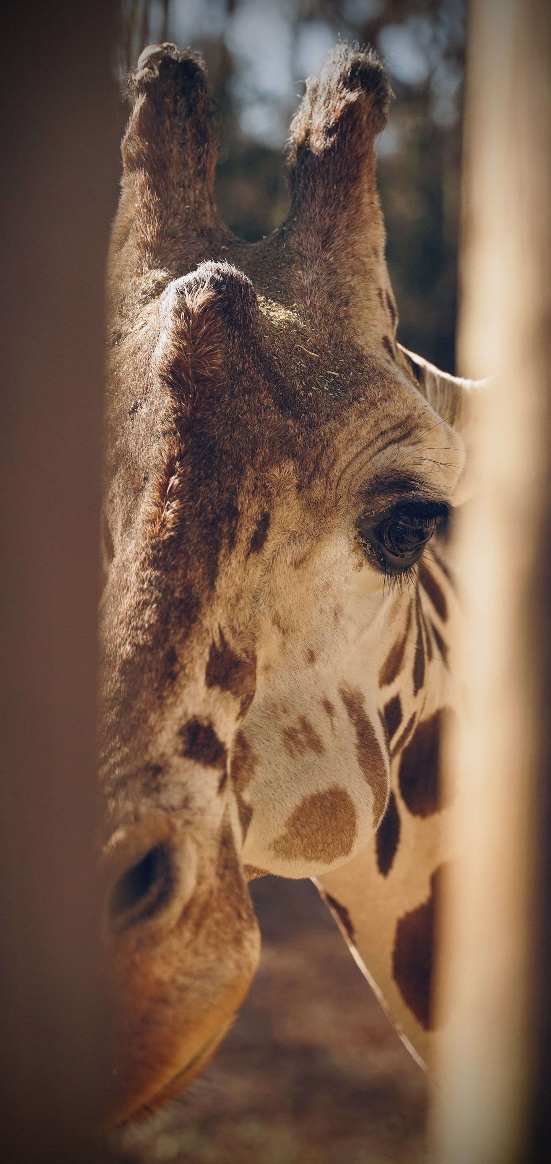 500 Wildlife Parkway