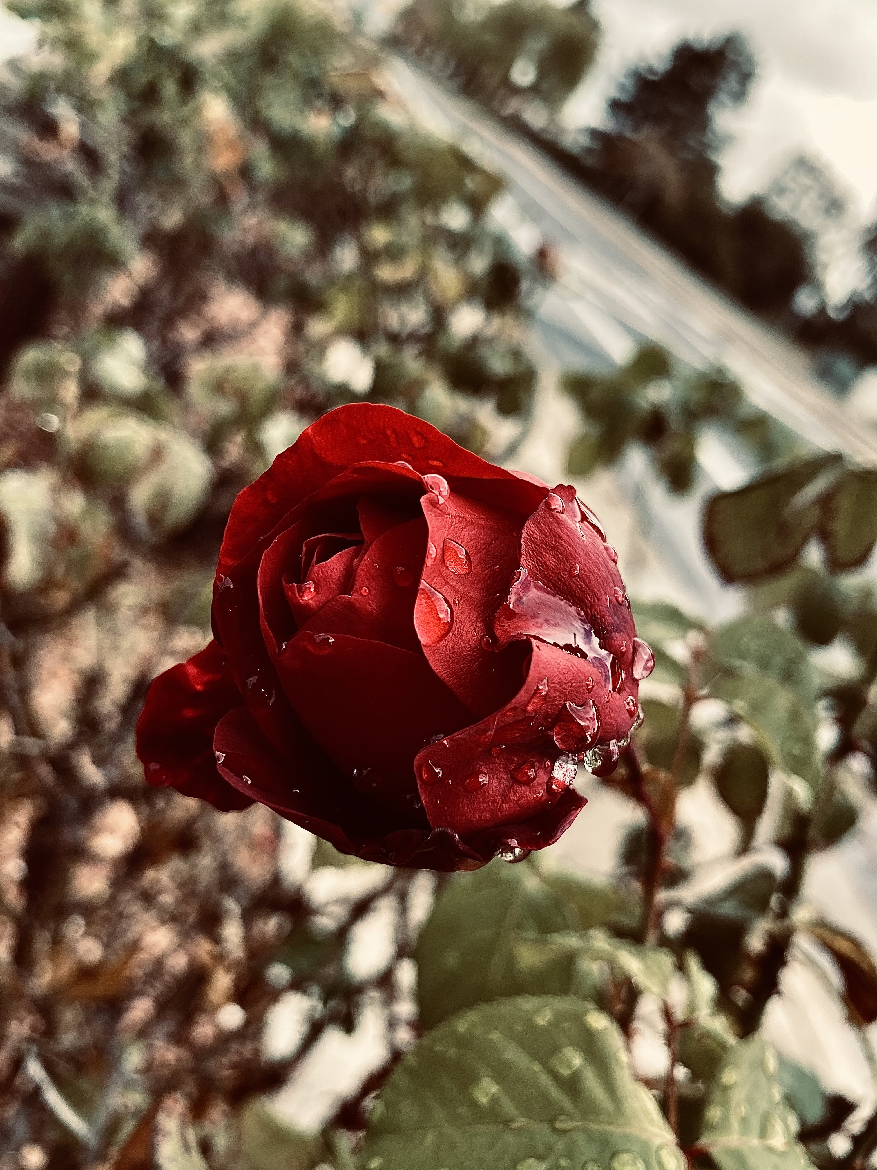 41946 Pacific Grove Way