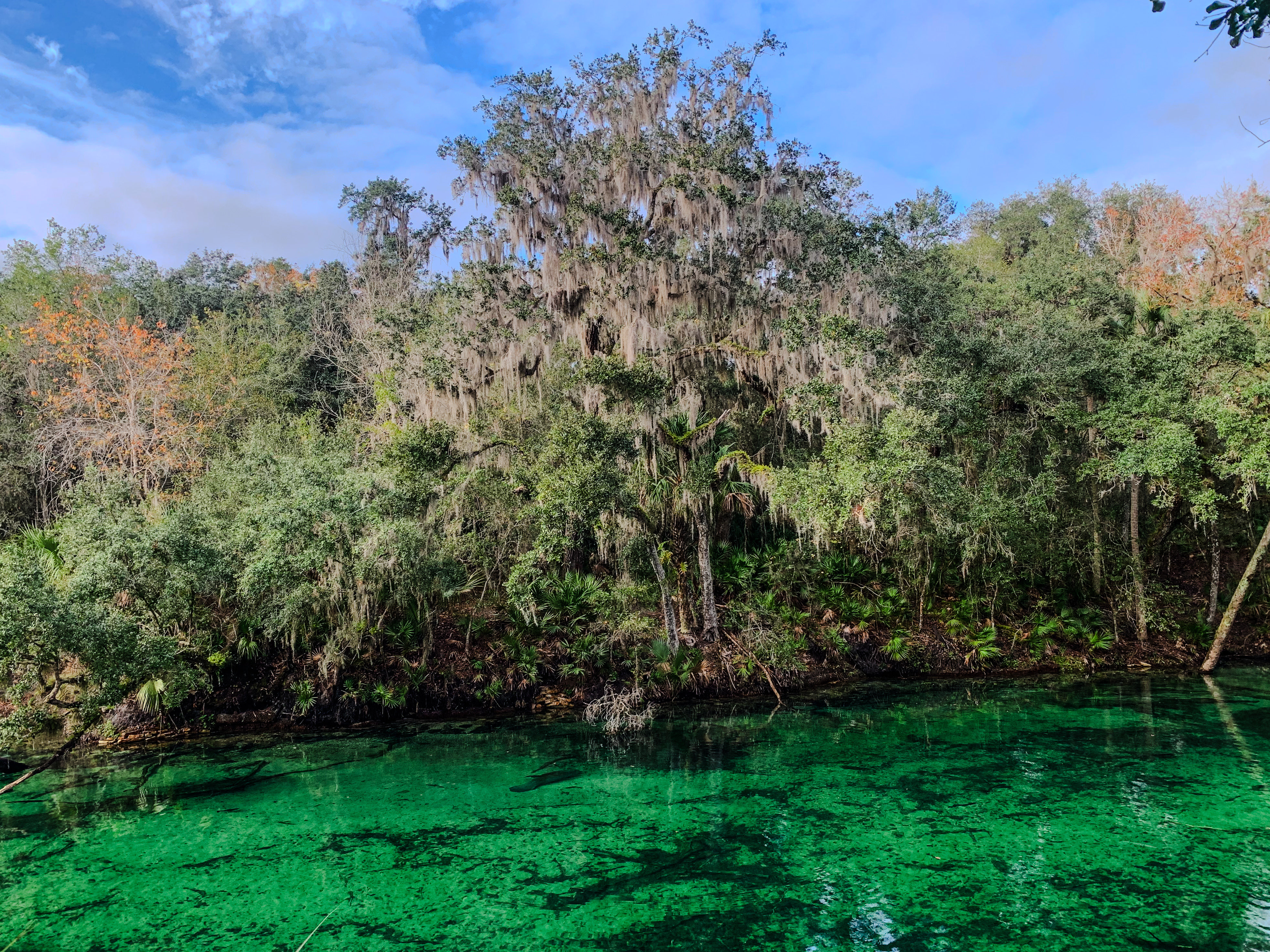 2450 West French Avenue