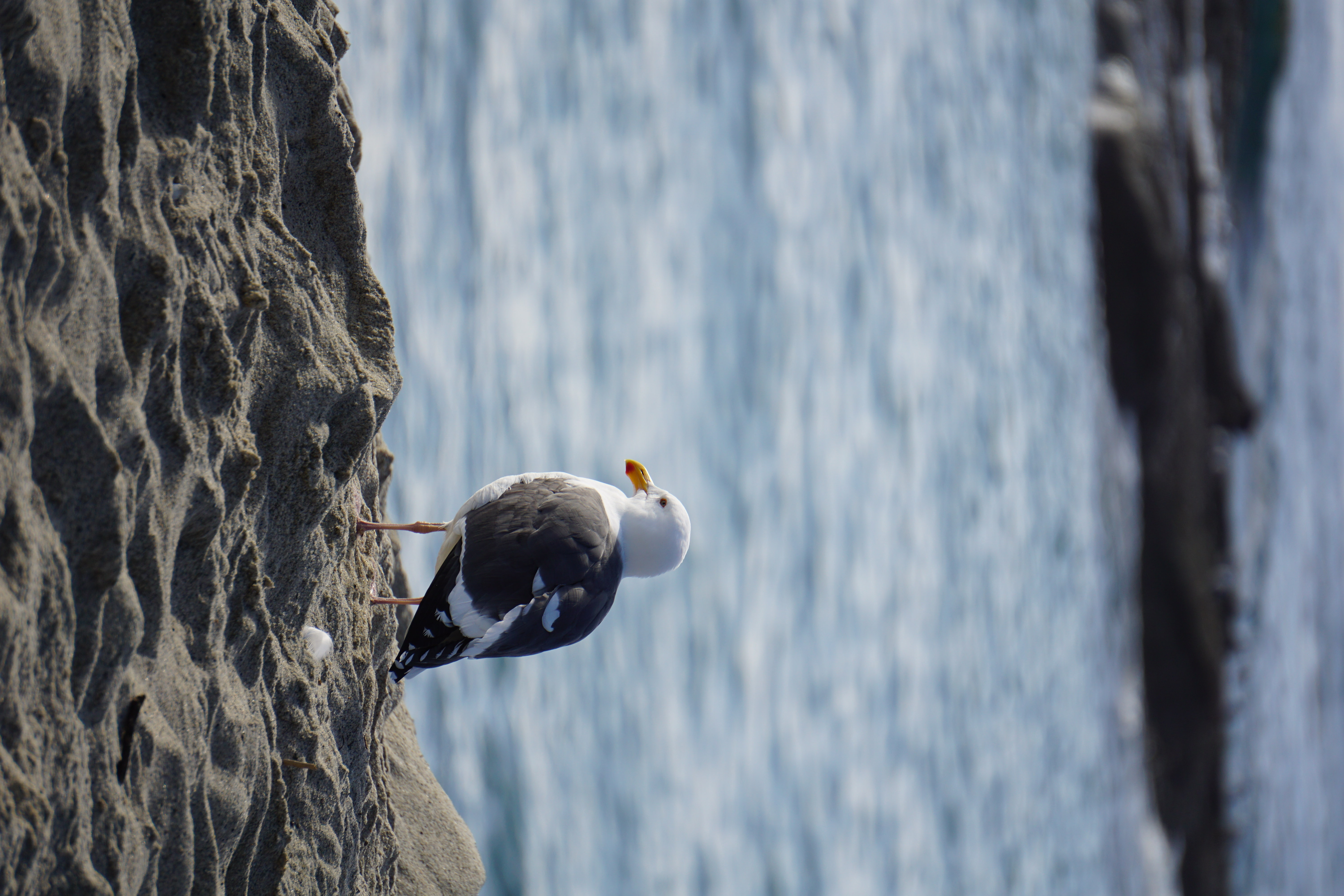 31065 Pacific Coast Highway