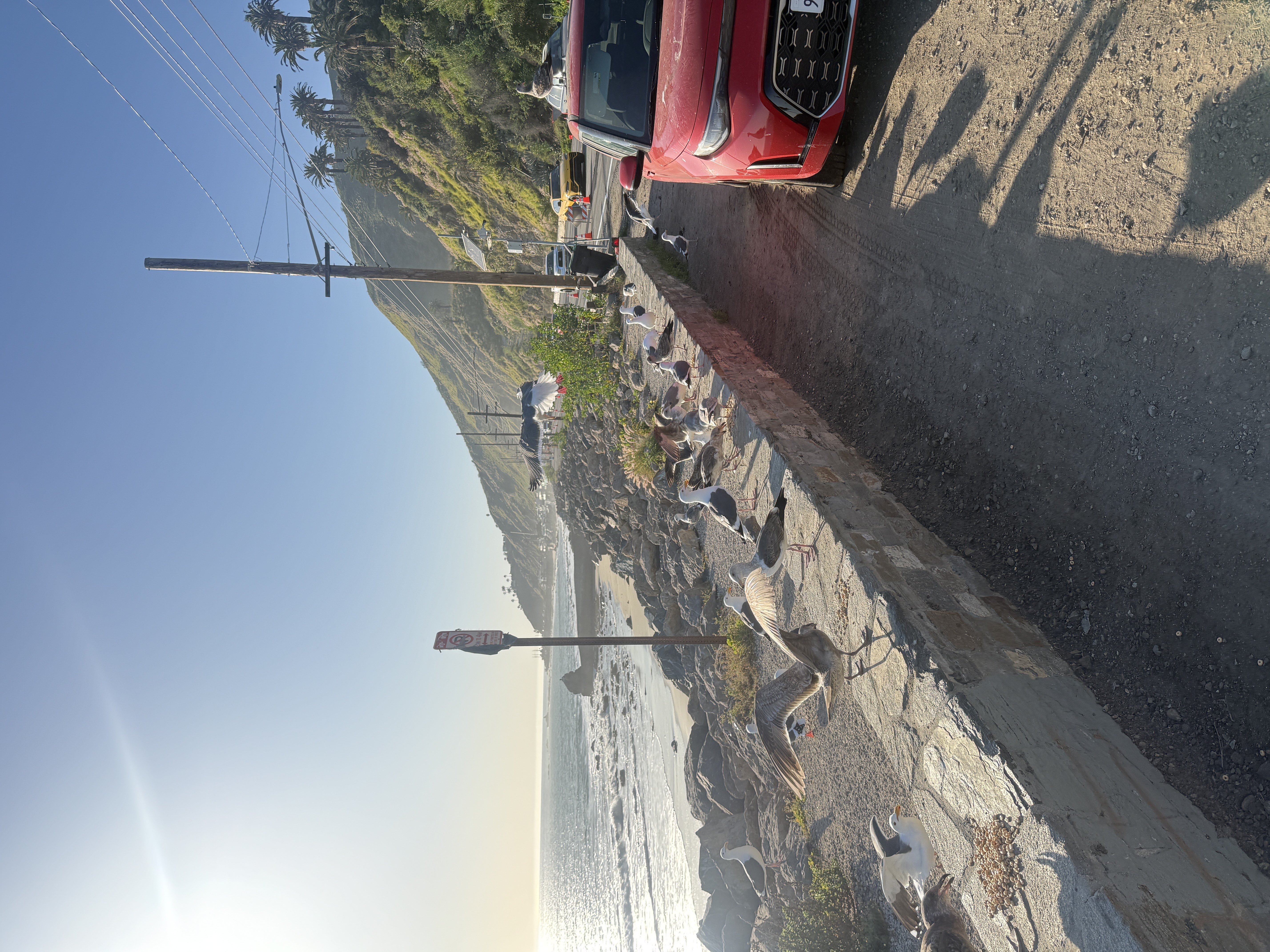 19444 Pacific Coast Highway