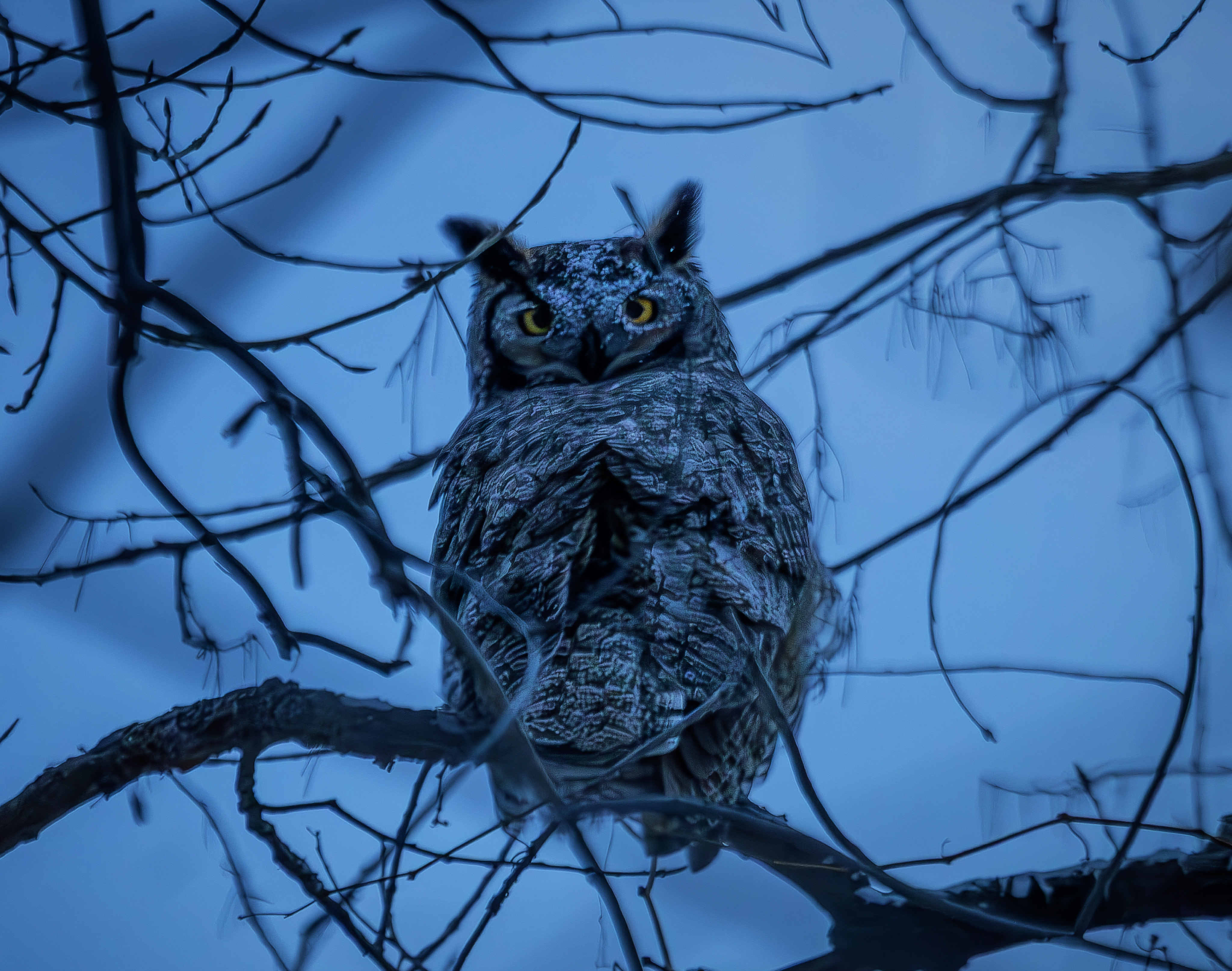 4128 Mariana Butte Drive