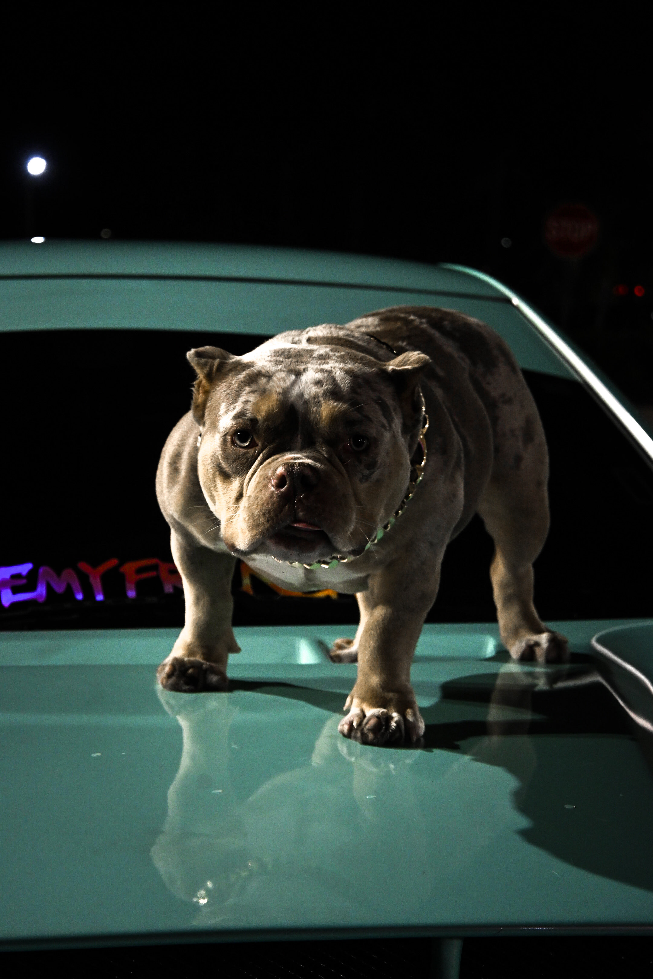 8102 Blanding Boulevard