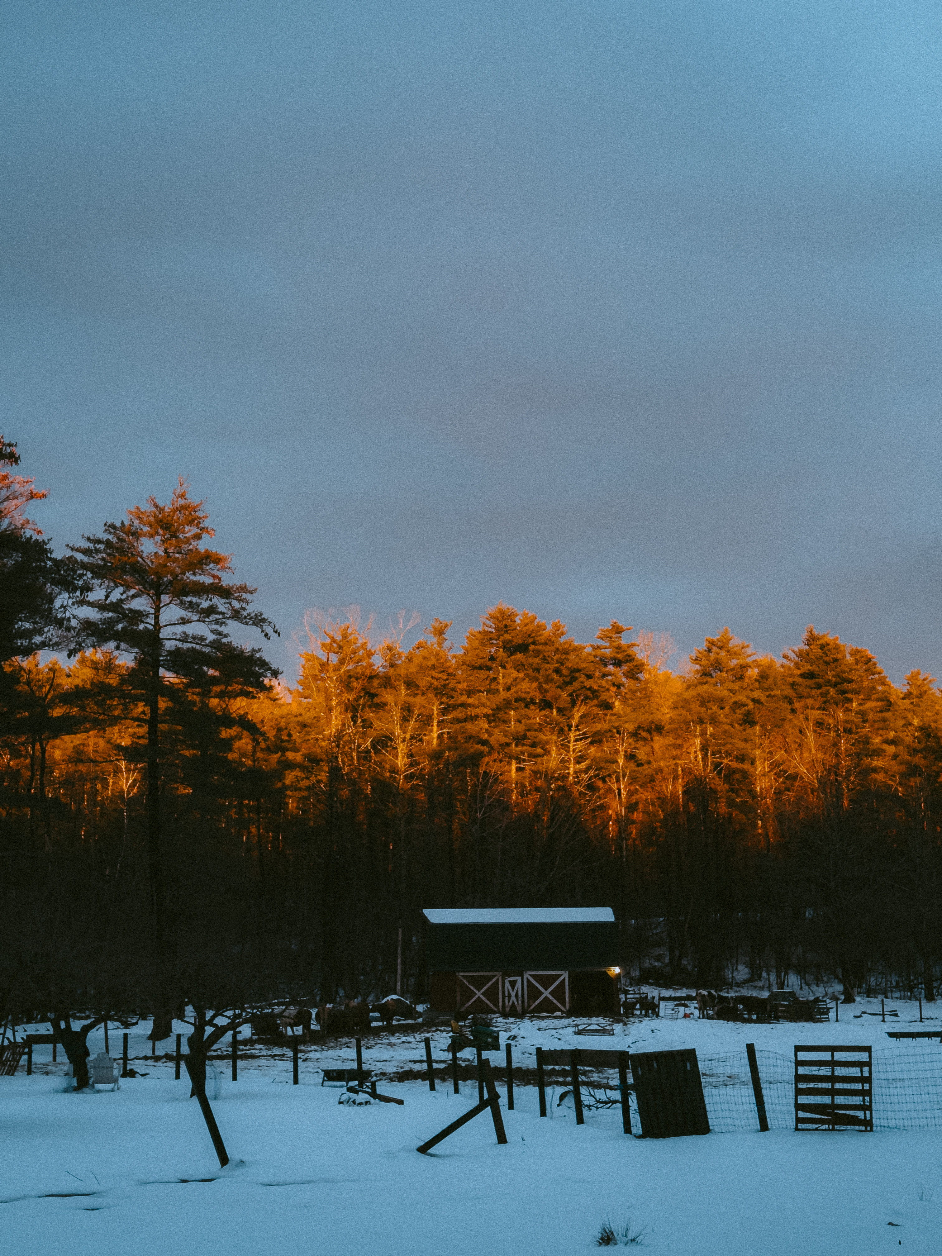 110 Goldsborough Drive