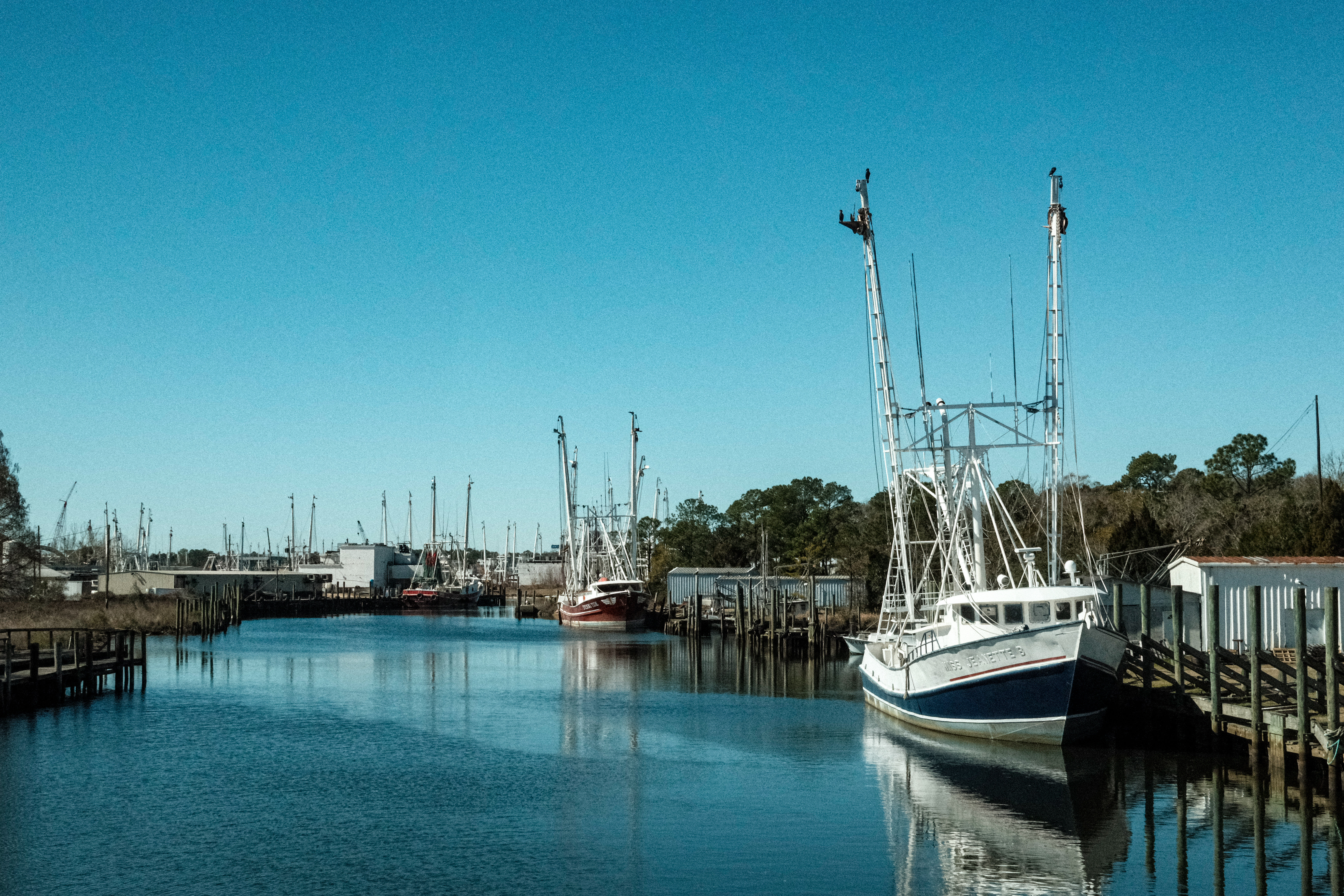 13765 South Wintzell Avenue