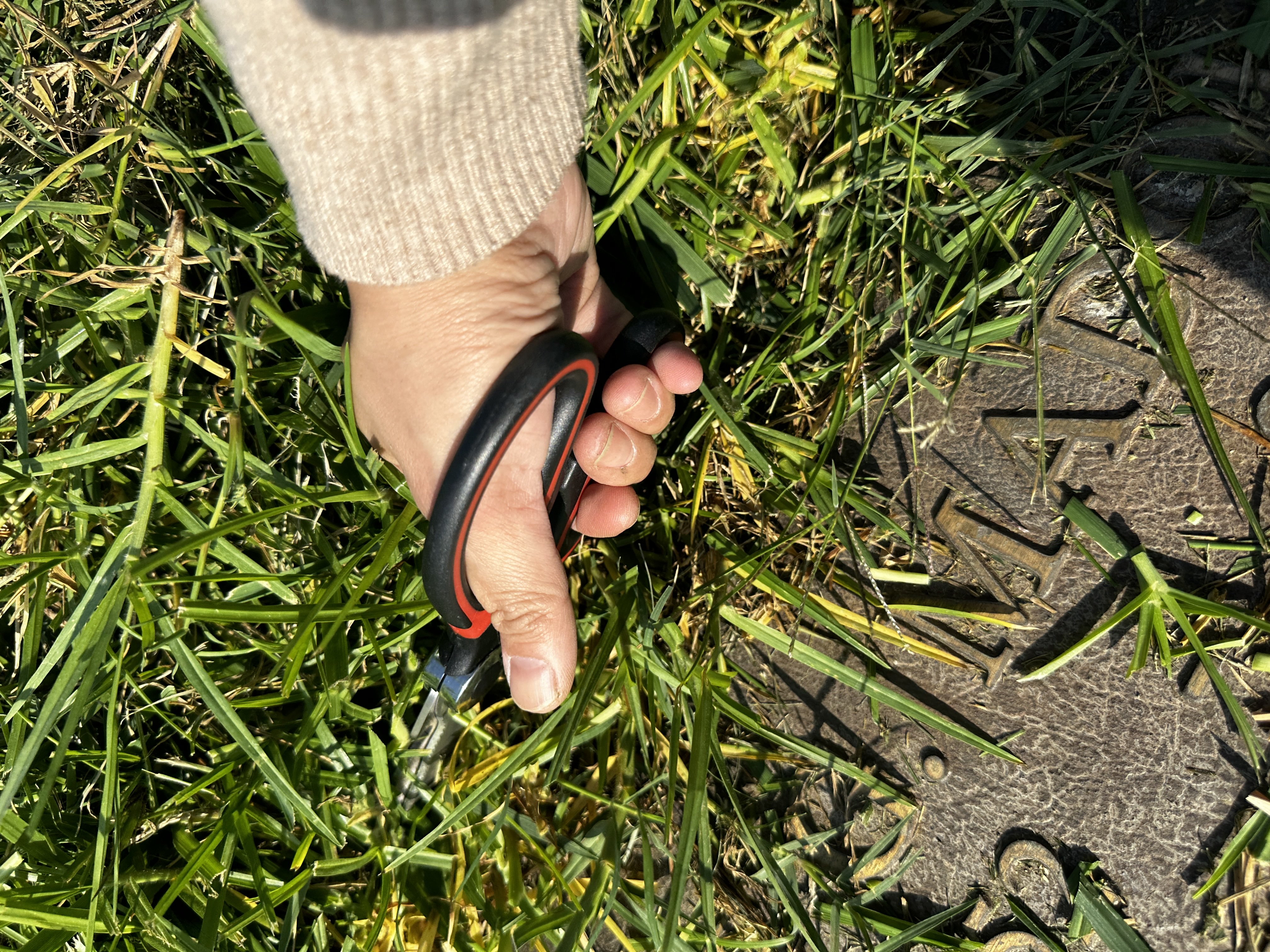 6300 Forest Lawn Drive