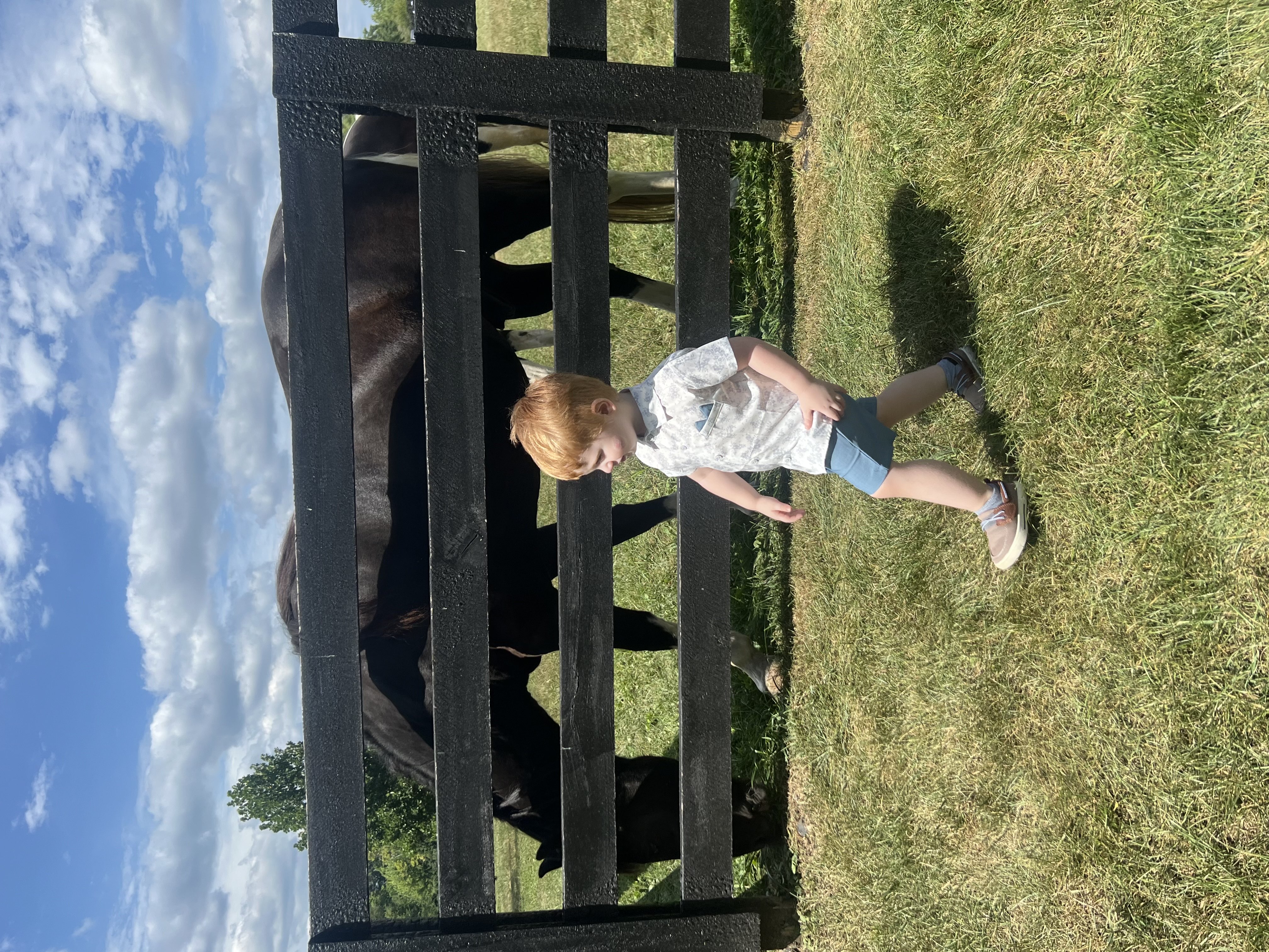 10221 Mockingbird Lane