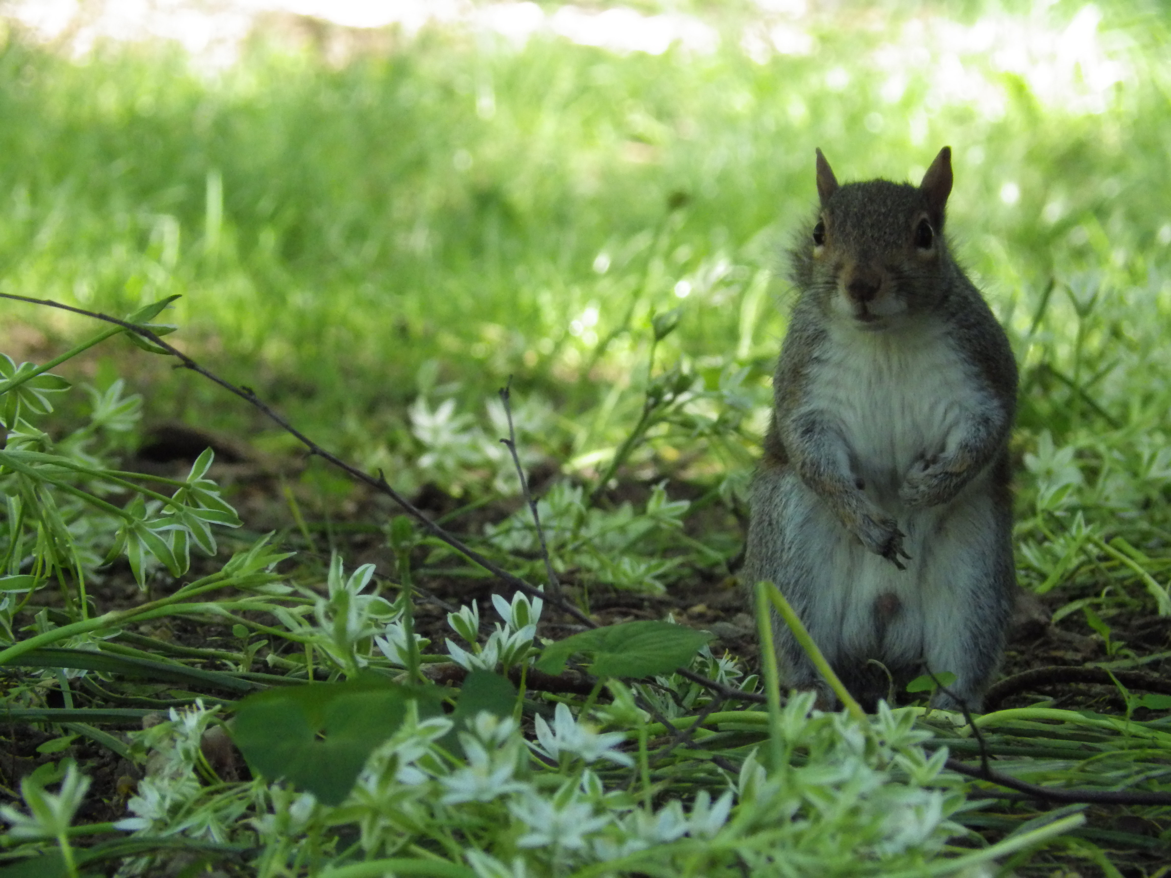 150 Van Cortlandt Avenue East