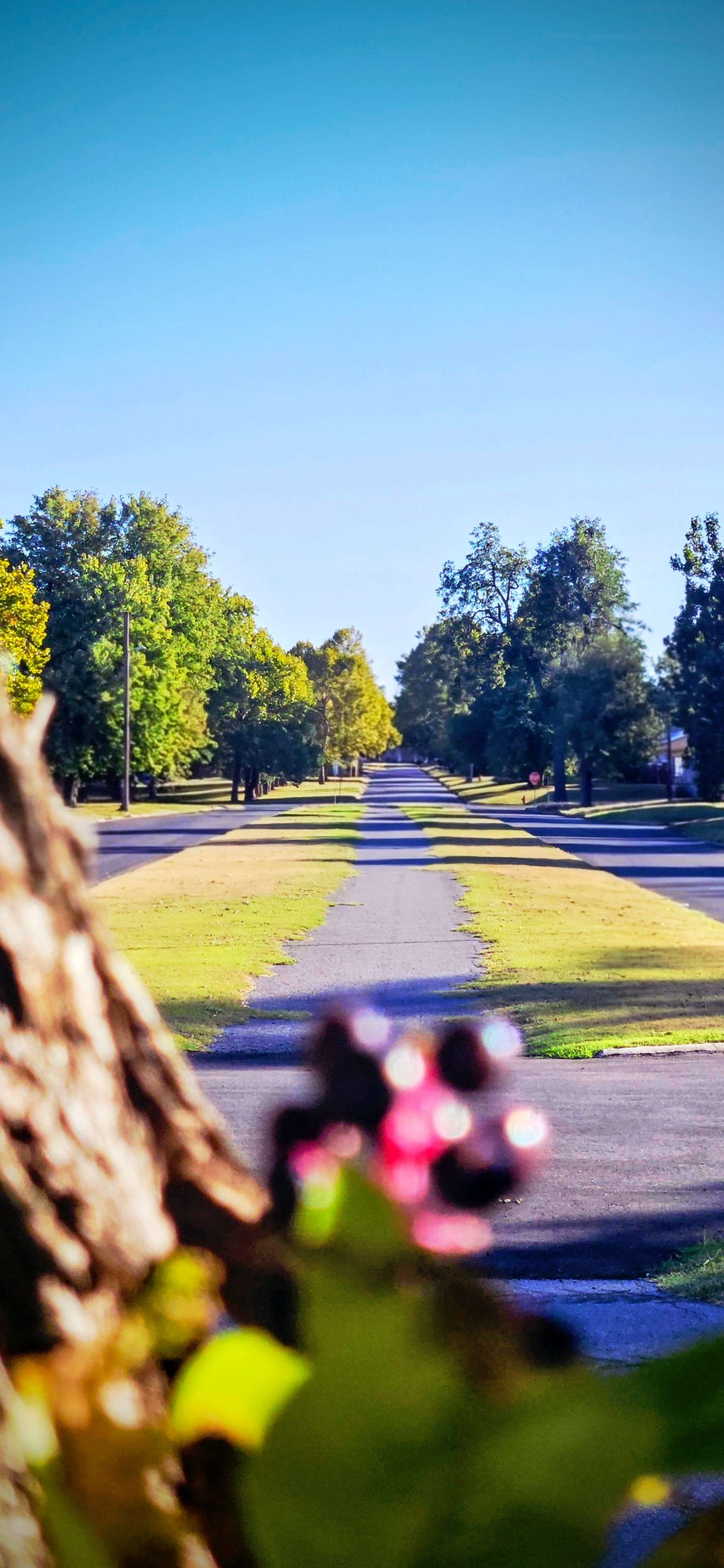 1520 South 19th Street