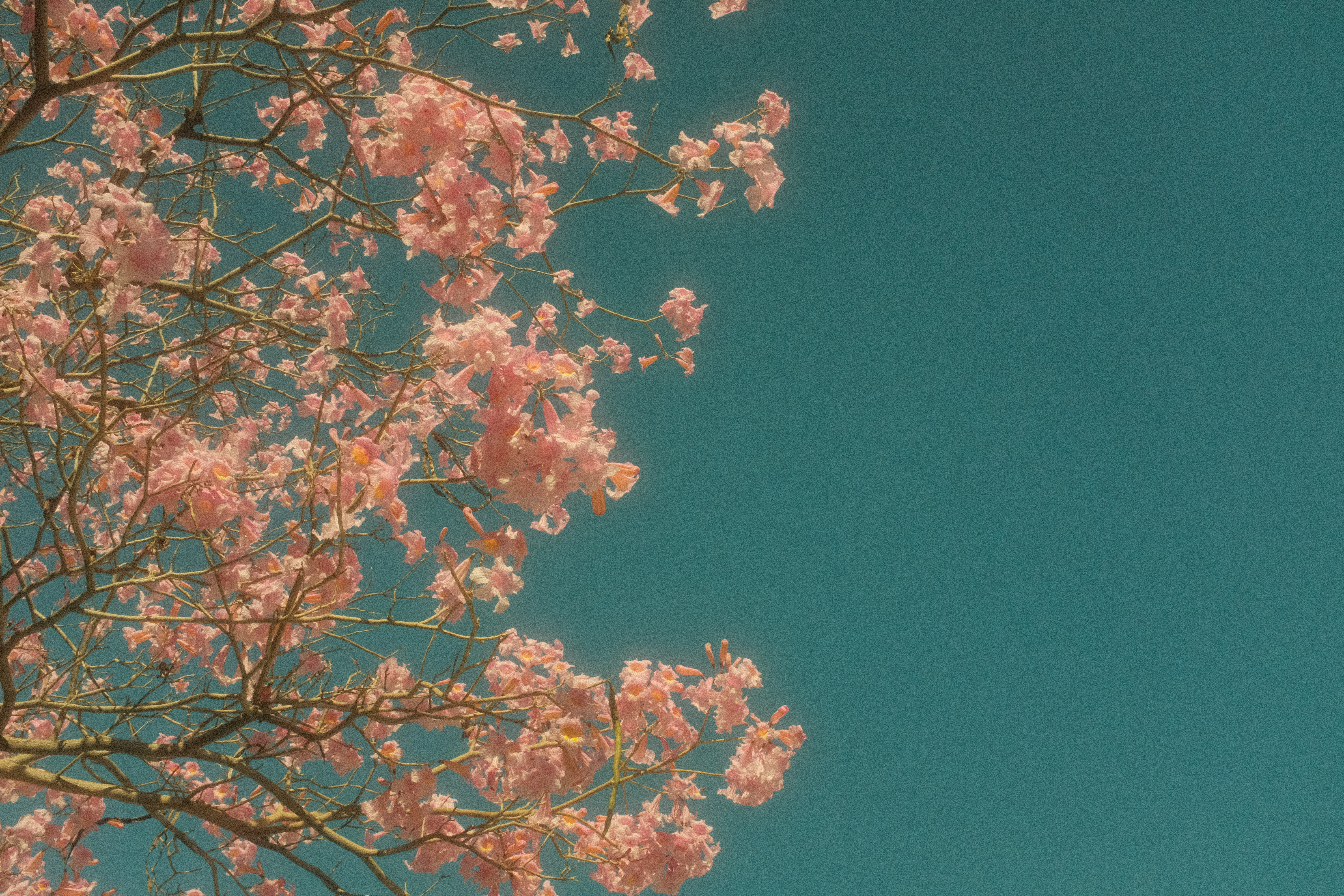 5300 Lankershim Boulevard