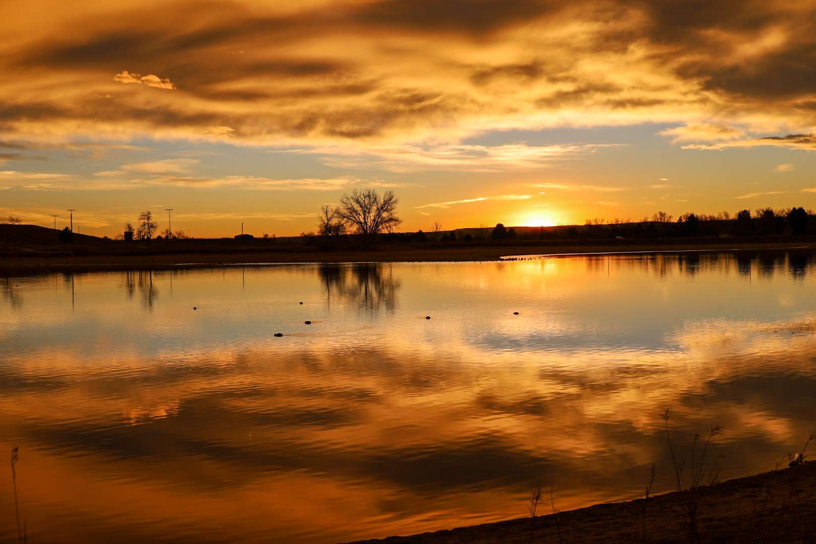 5656 South Wadsworth Boulevard