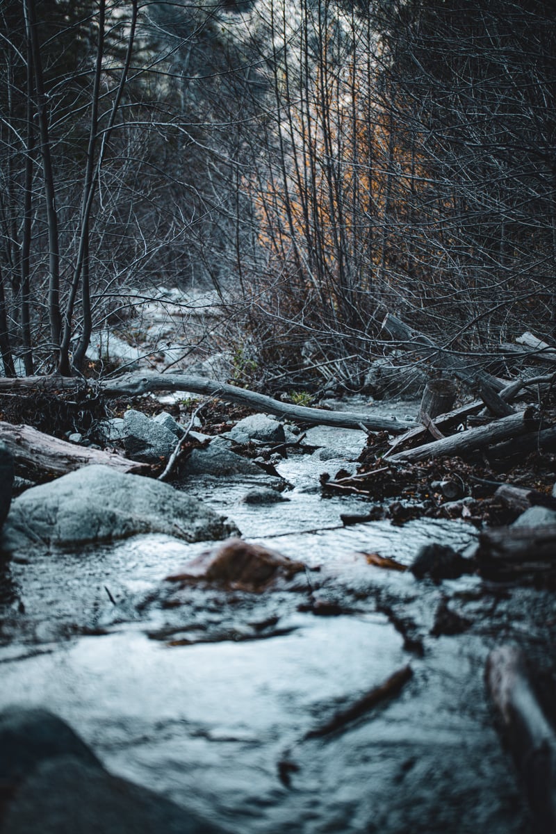 1 Ice House Canyon Road
