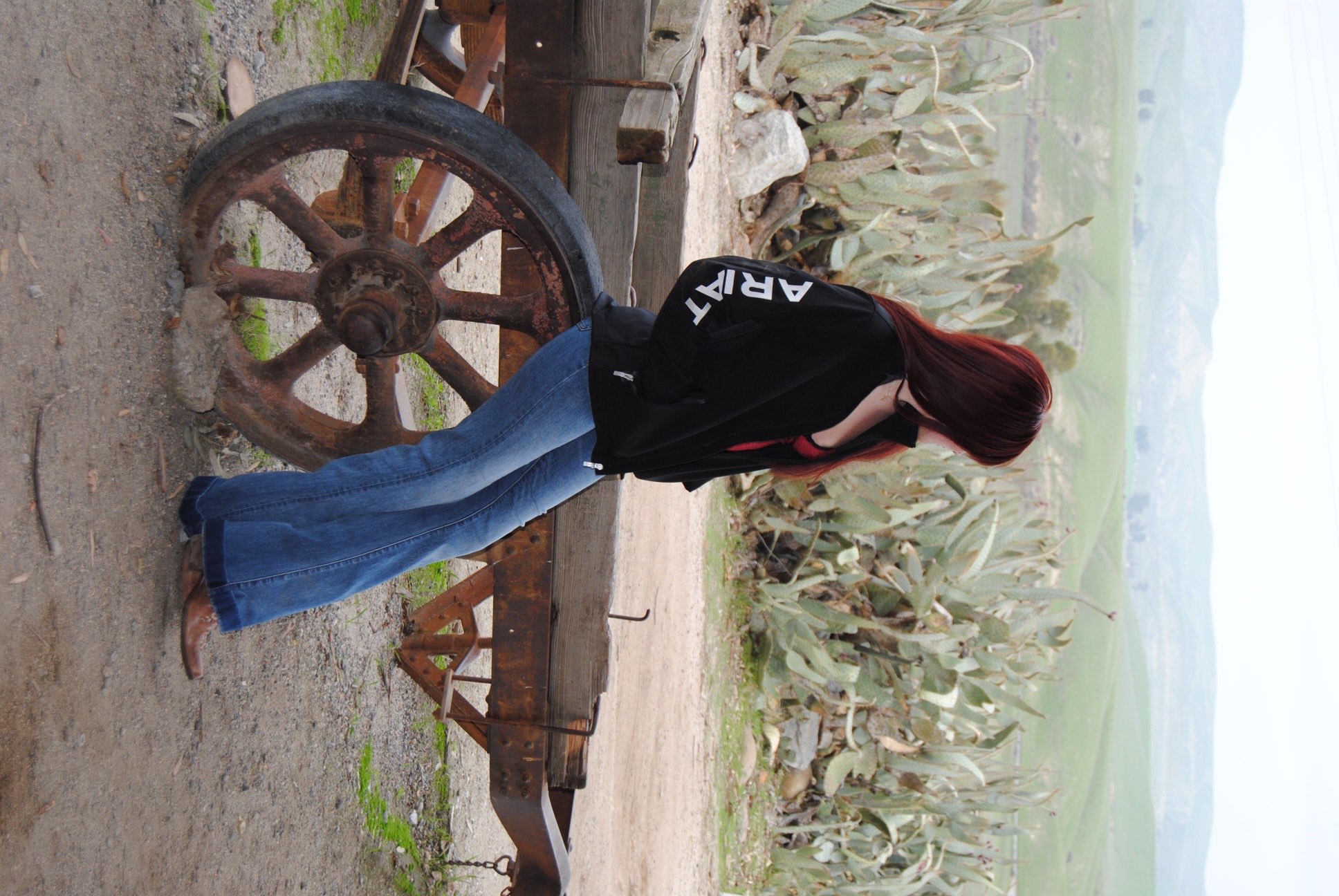 10460 Alfred Harrell Highway