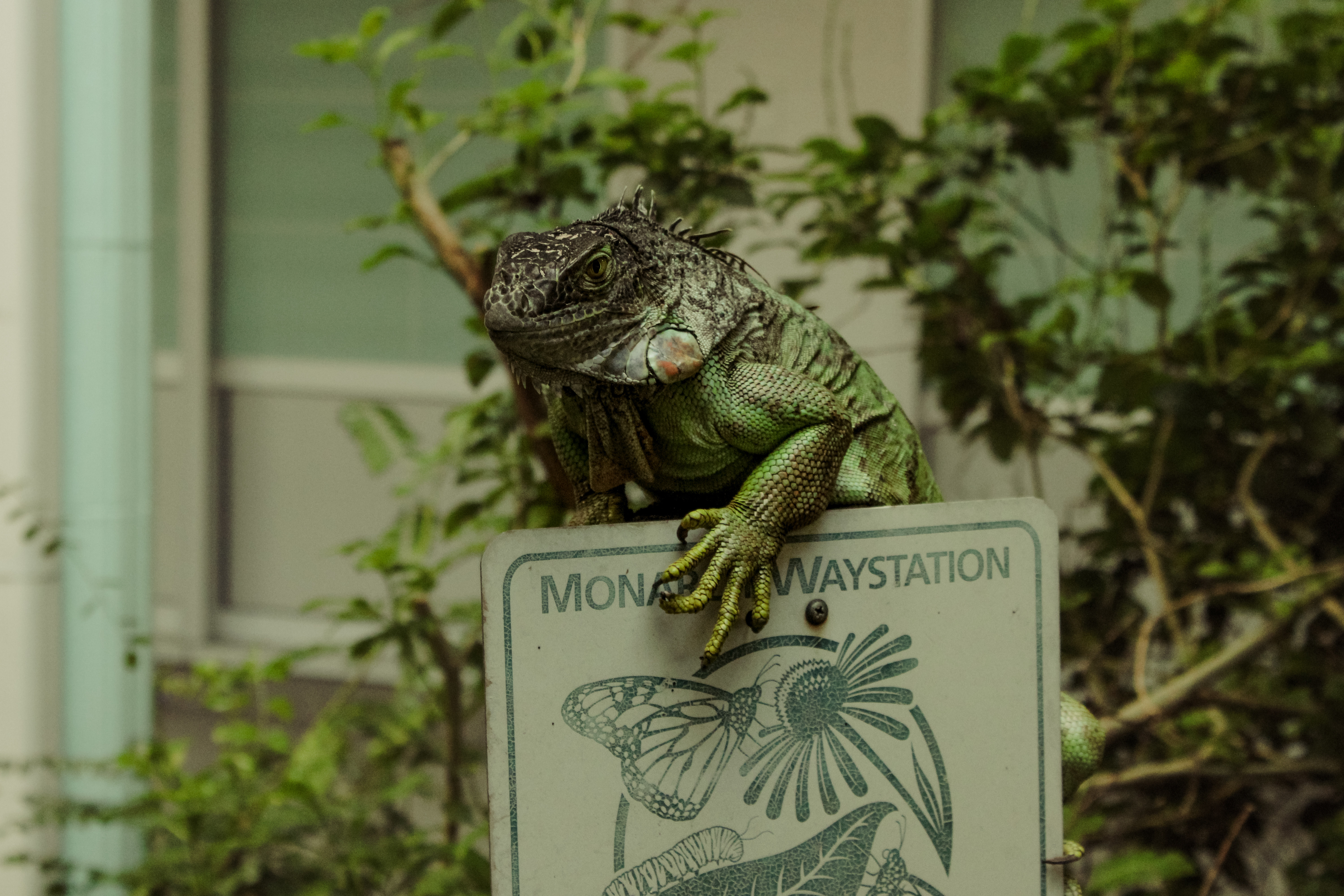 3601 North Military Trail