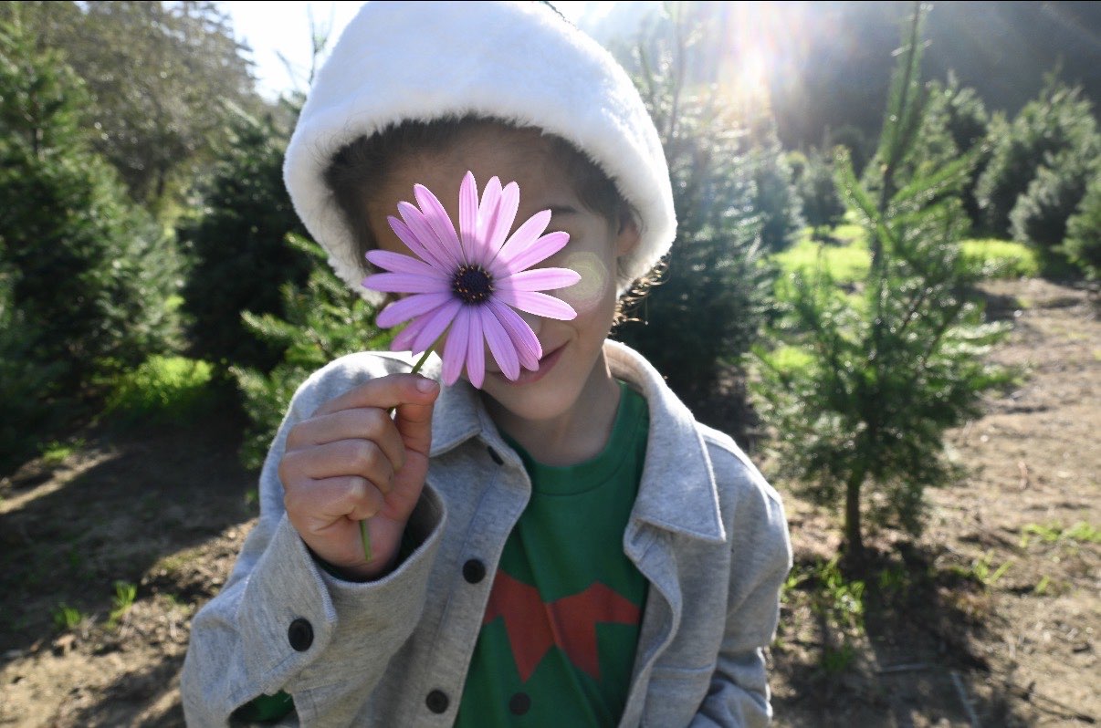 995 Miramontes Street