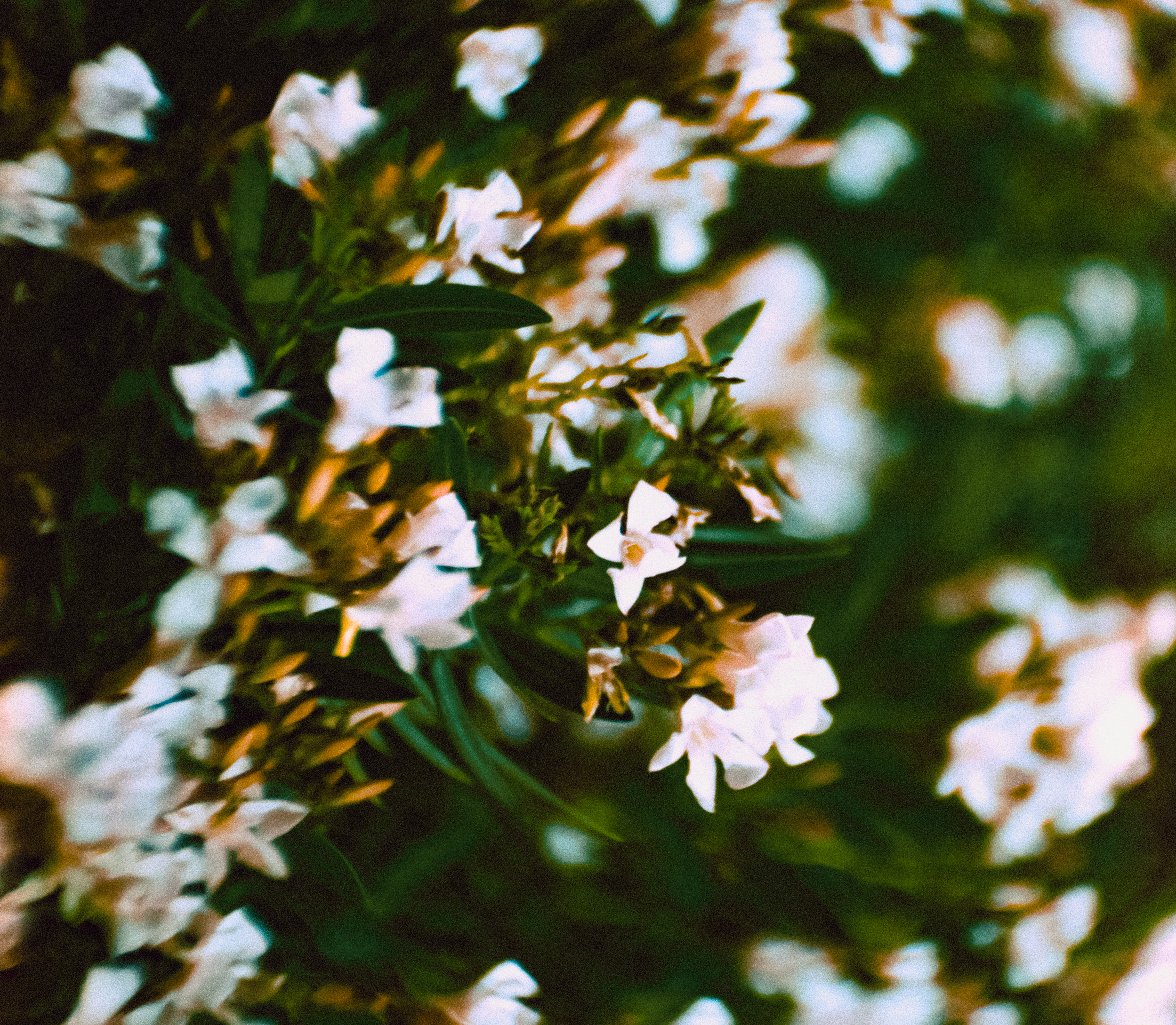 1901 West Northern Avenue