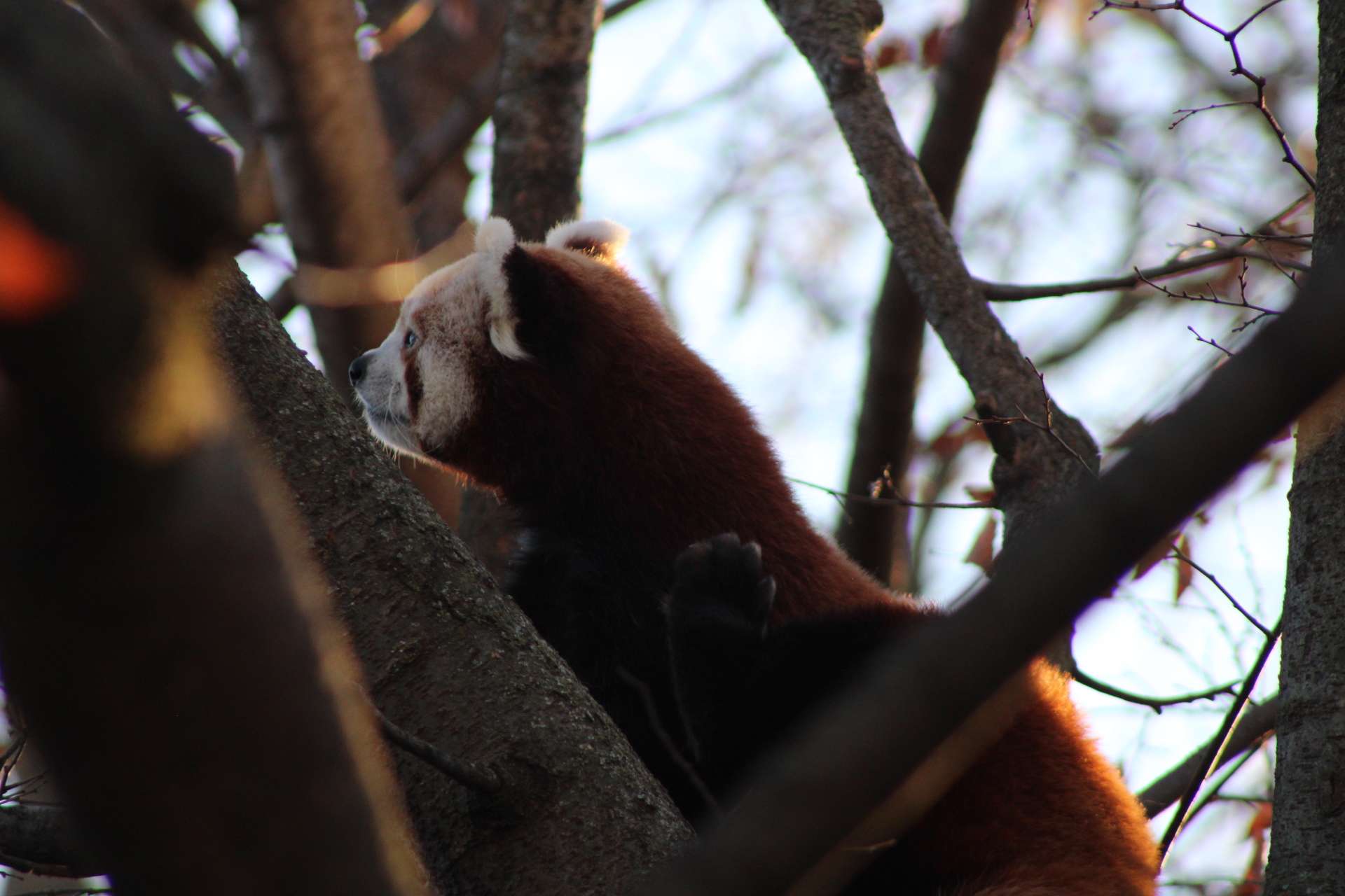 1200 West Washington Street