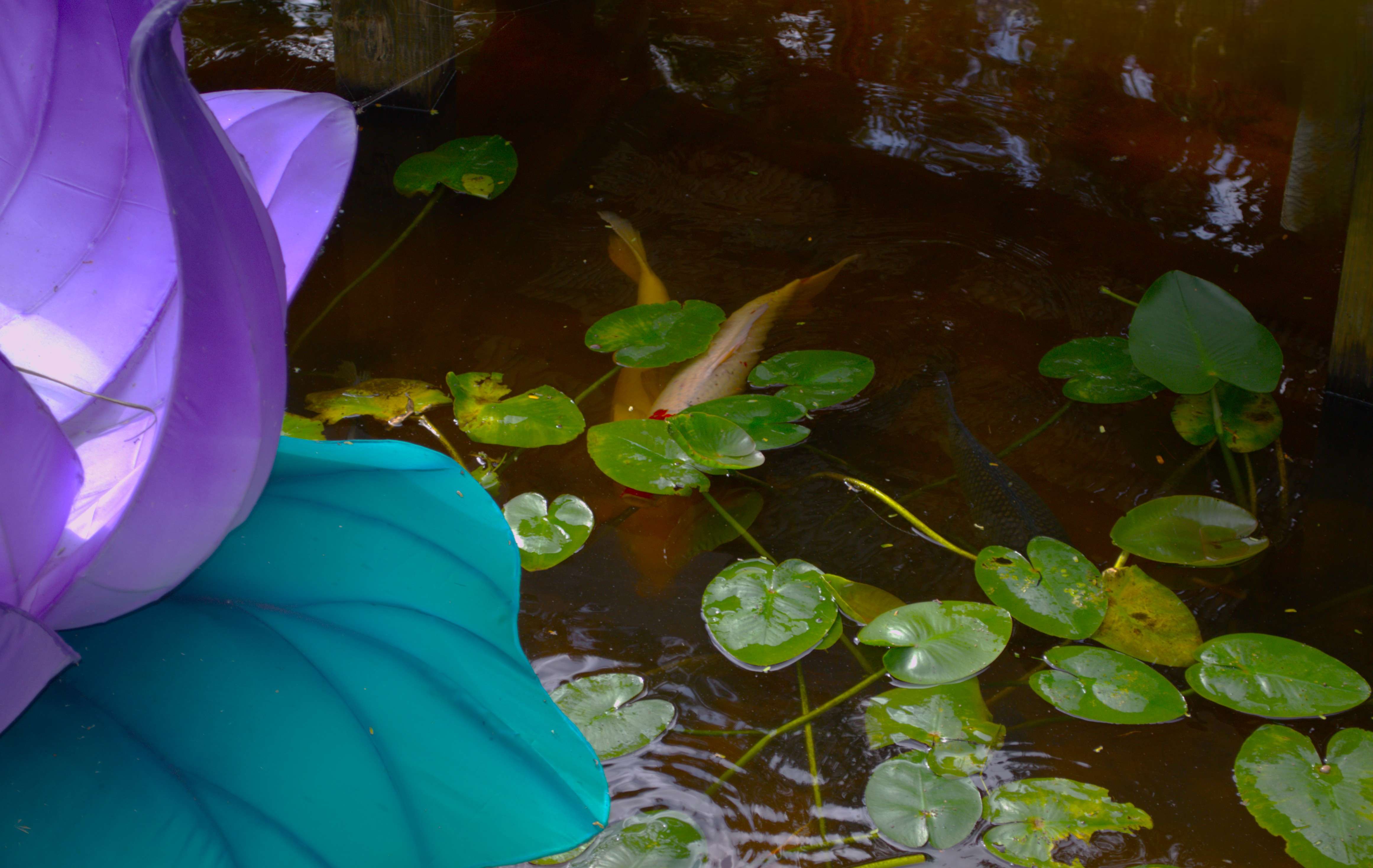 401 North Military Trail