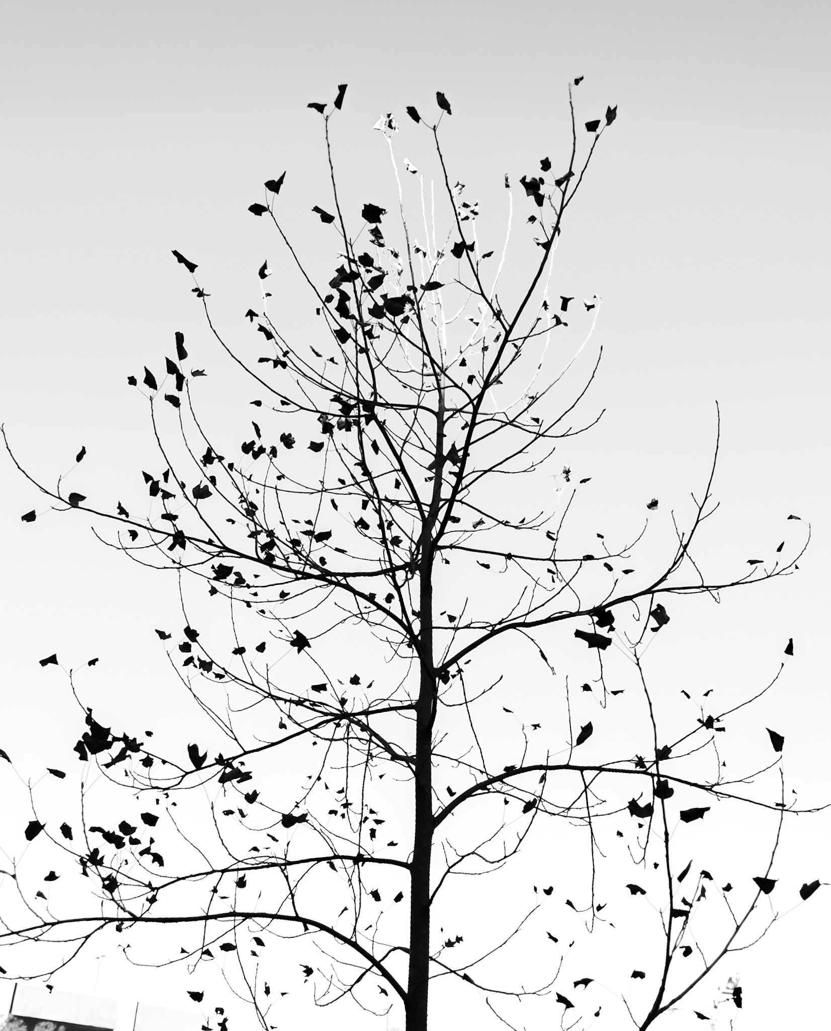 102 East Main Street