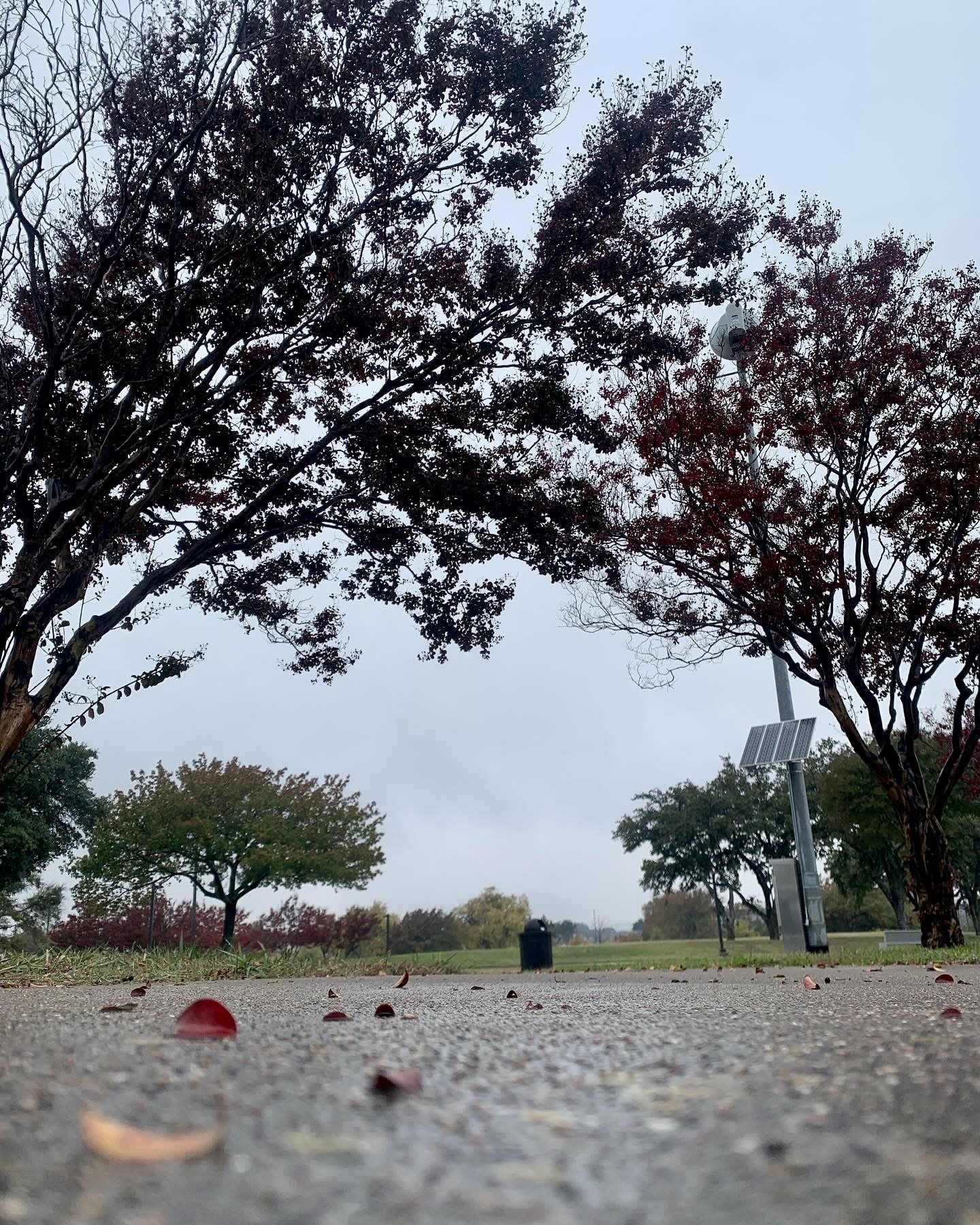 2855 North Dallas Avenue