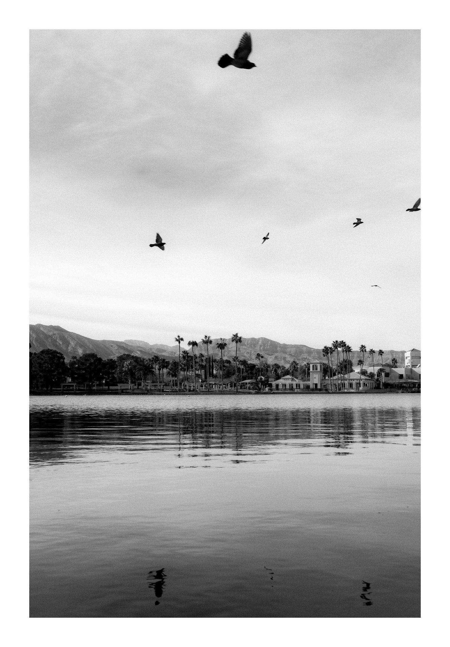 8072 Marbella Circle