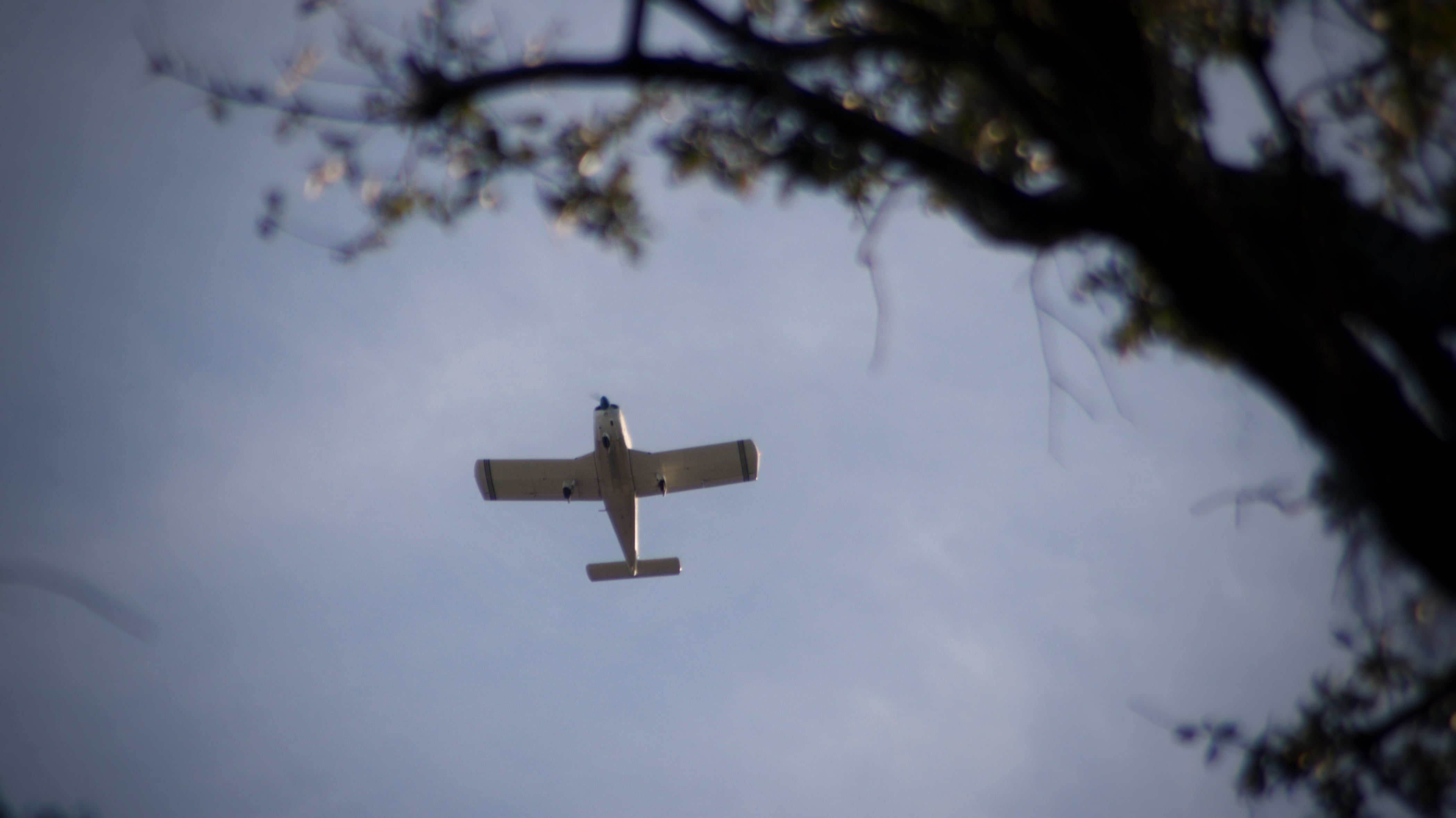 2703 West Moody Avenue