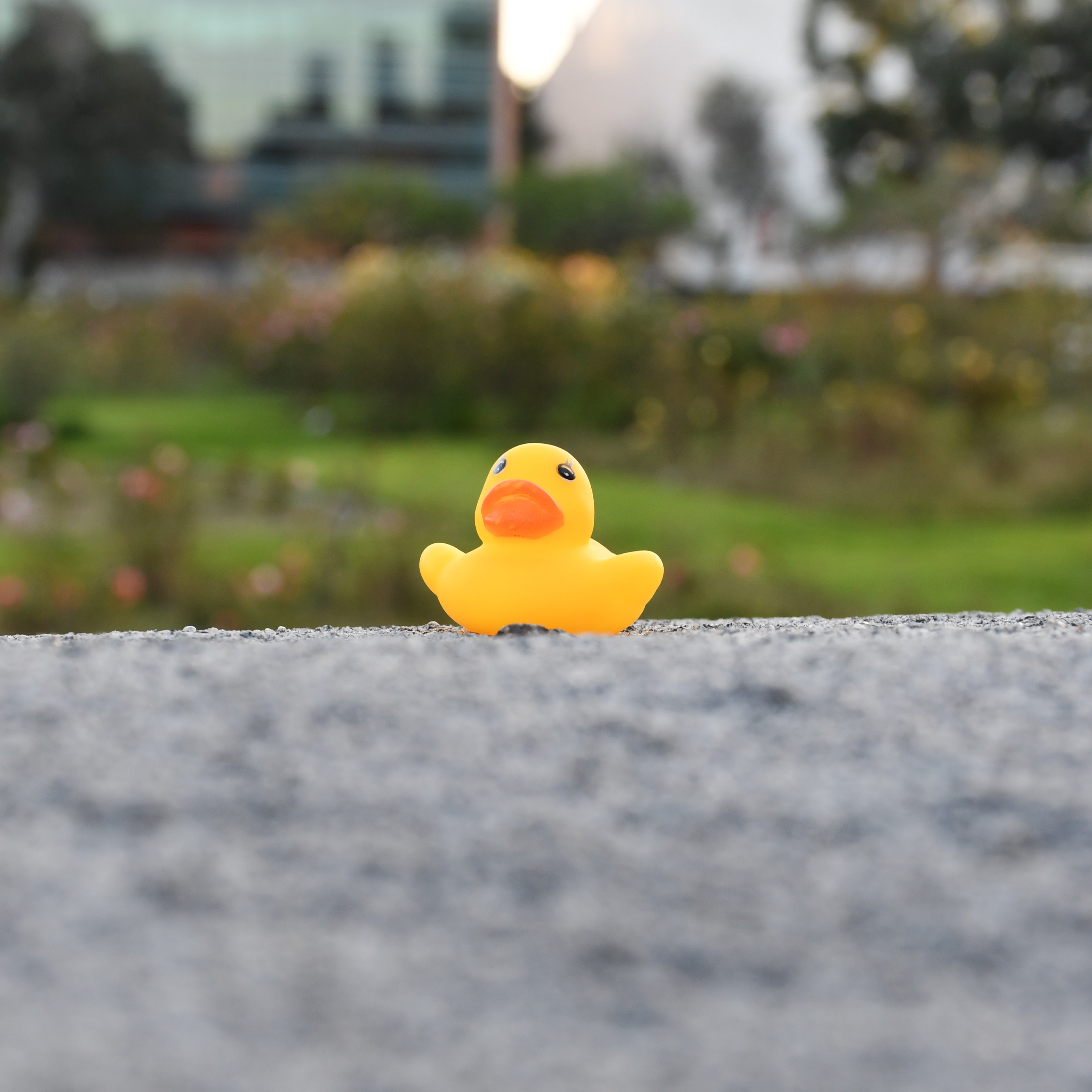 900 Exposition Boulevard