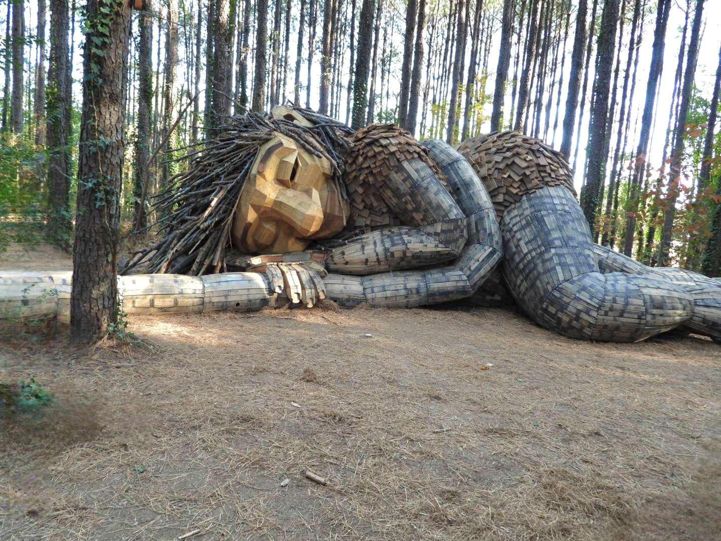 1030 Richardson Drive