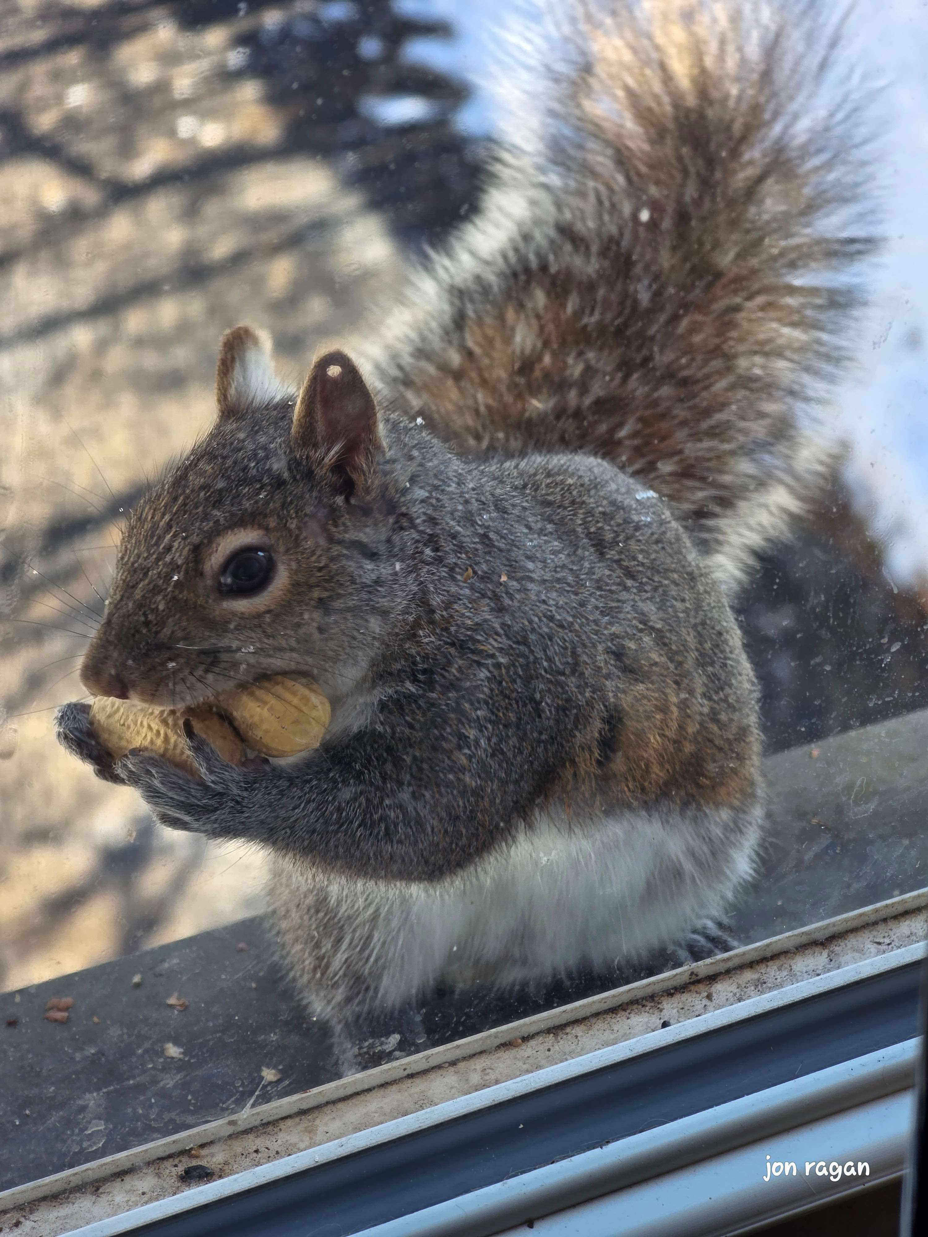 3622 Glenmore Avenue