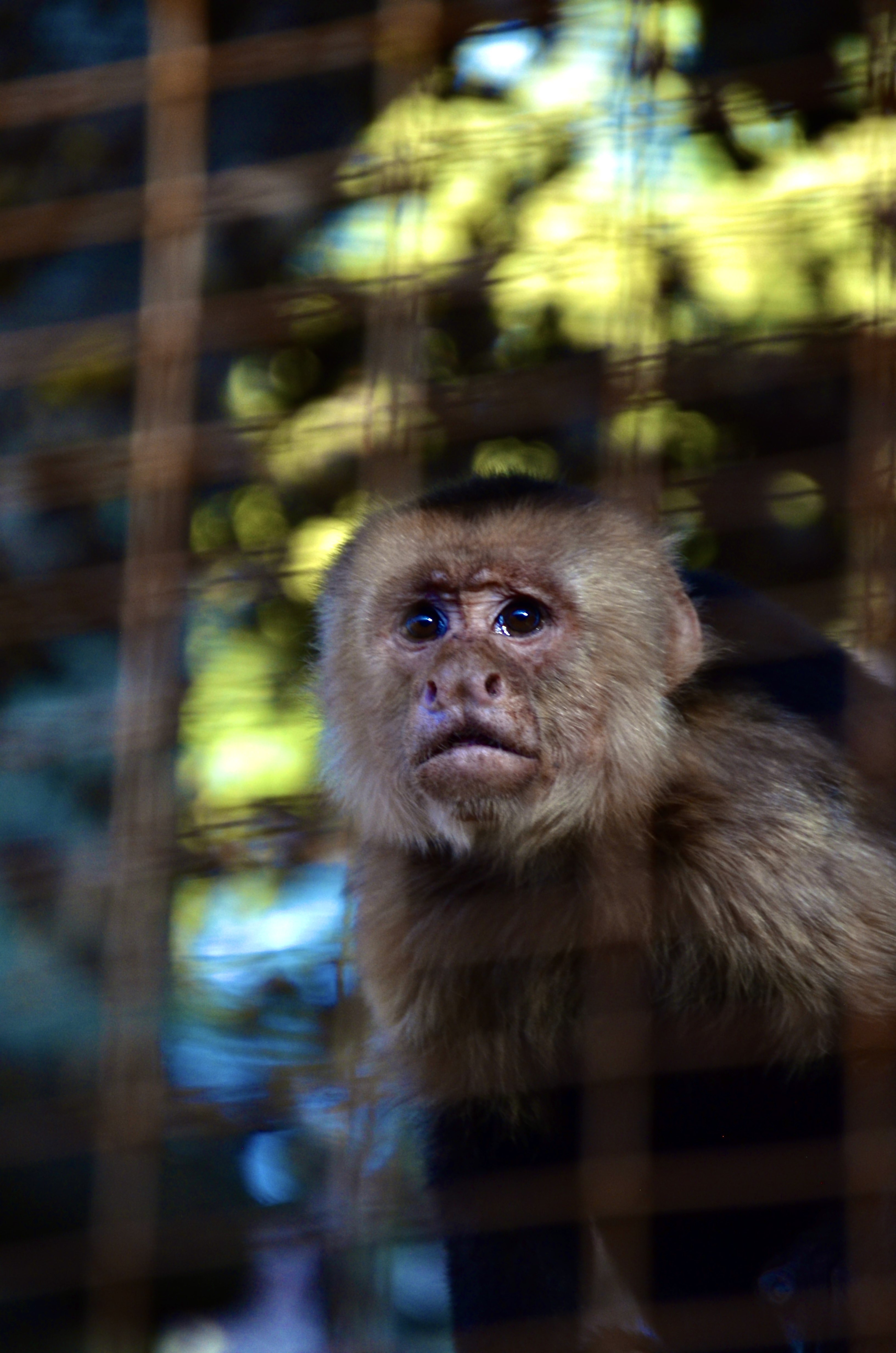 3903 North Saint Mary's Street